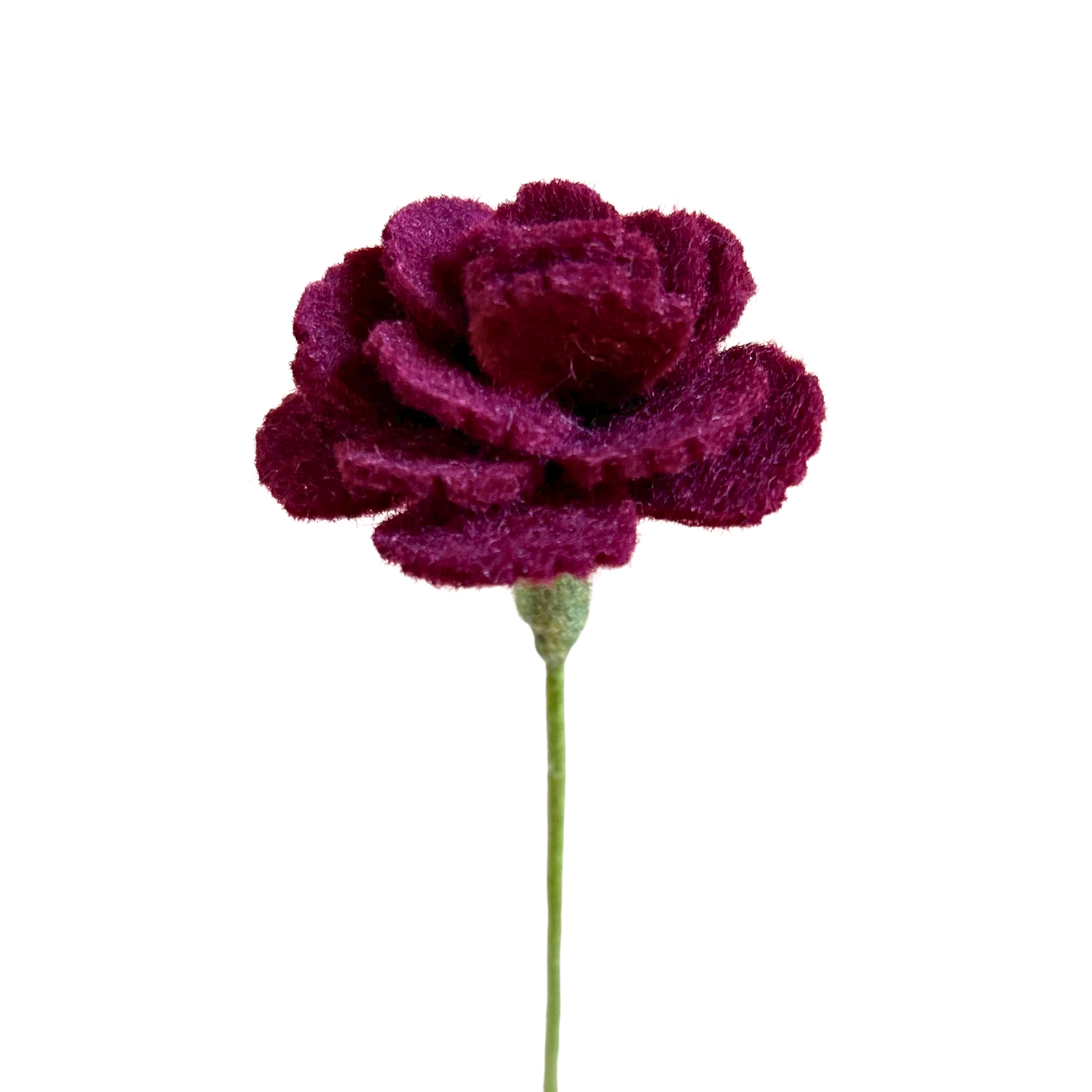 Carnation - Burgundy