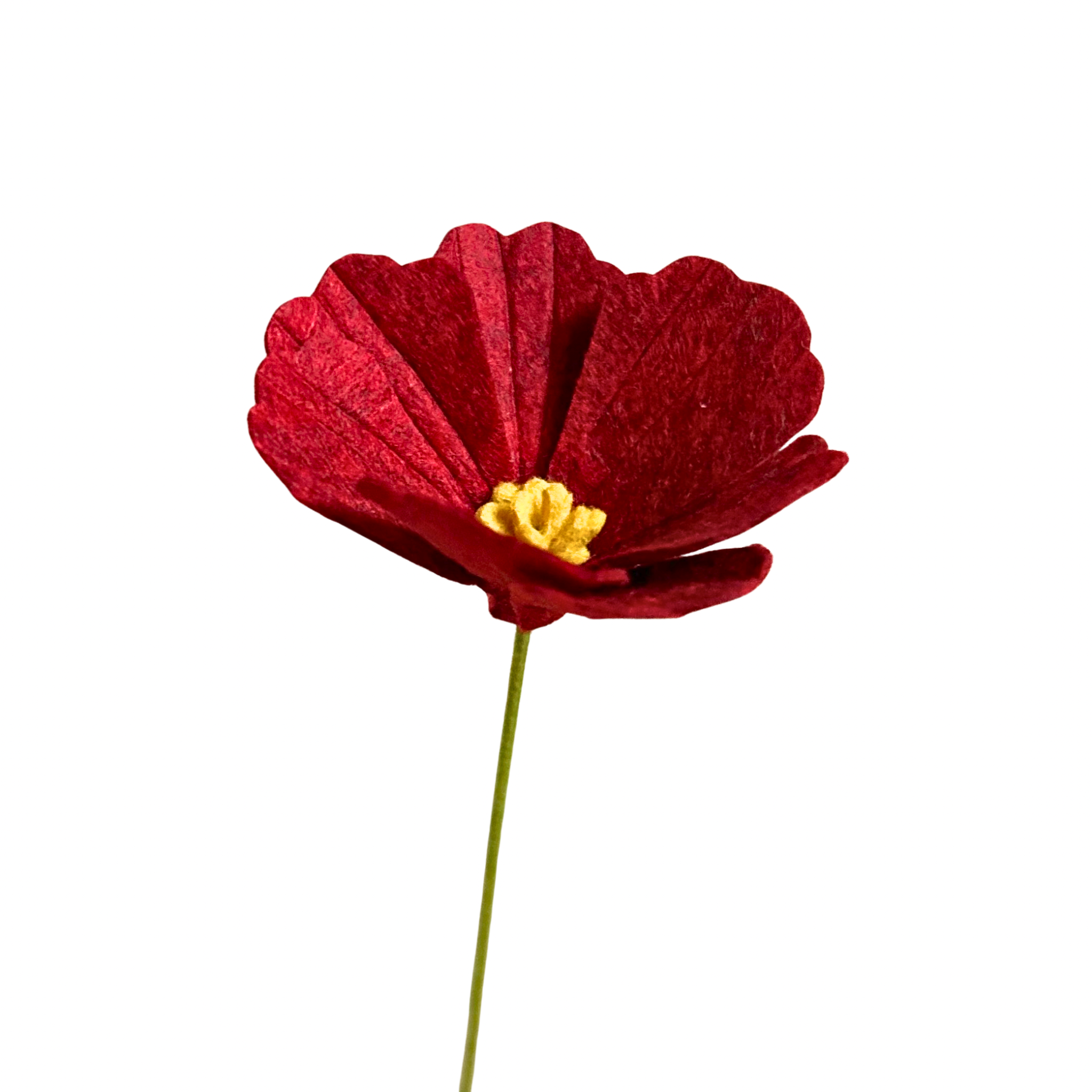 Untitled design.png