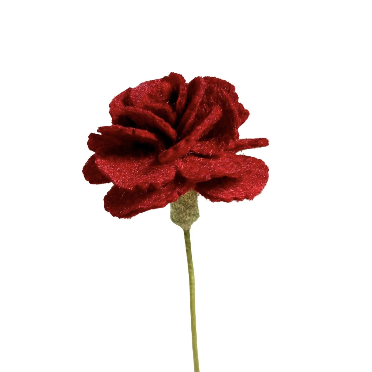 Carnation - Red