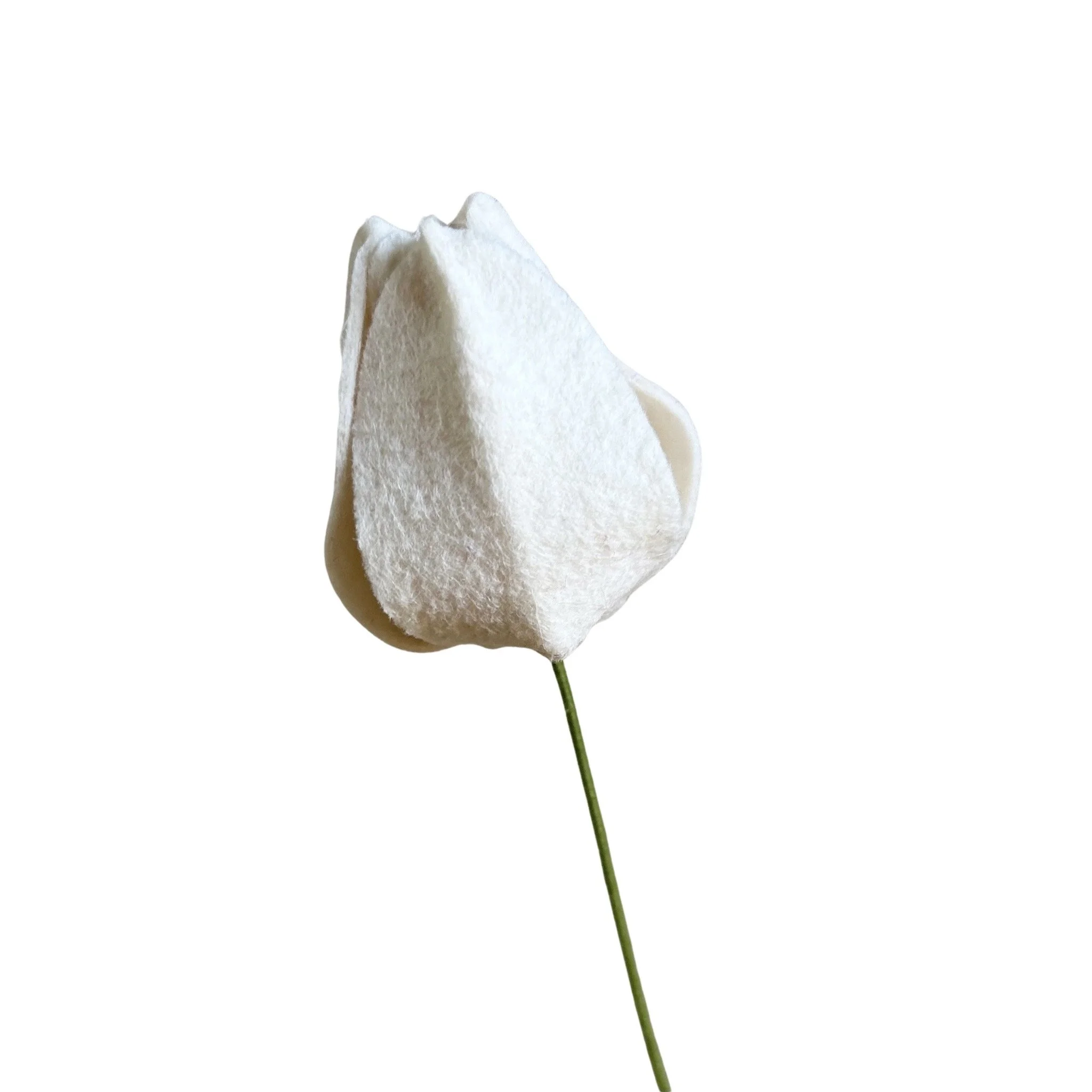 Tulip - White