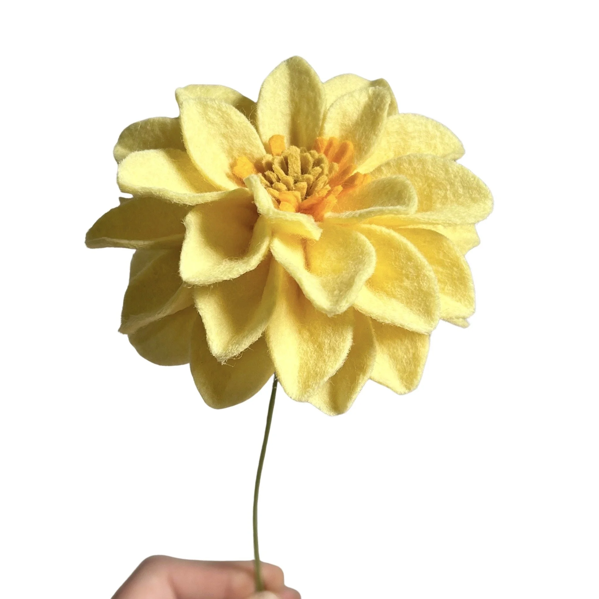 Peony Dahlia - Light Yellow