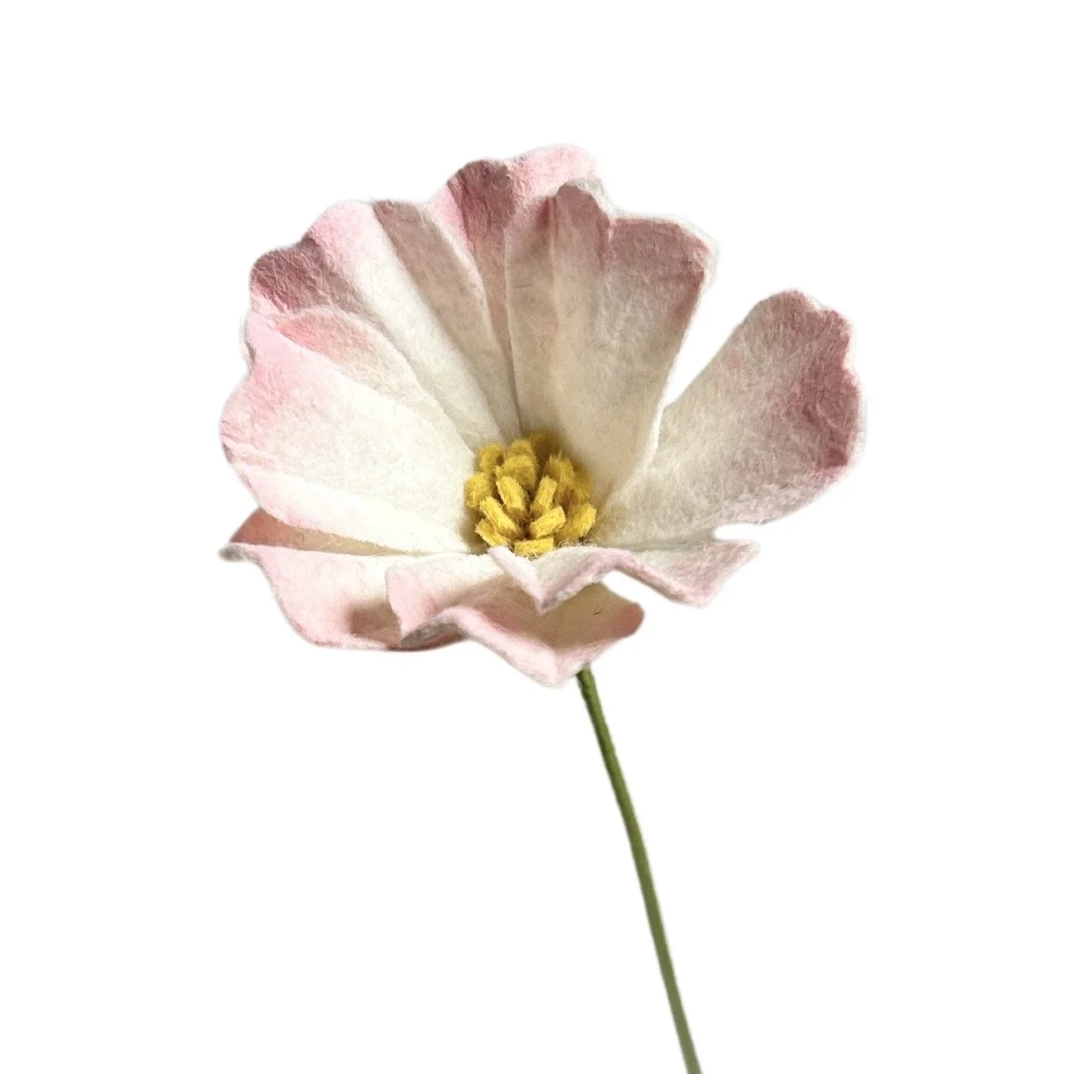 Untitled design.jpeg