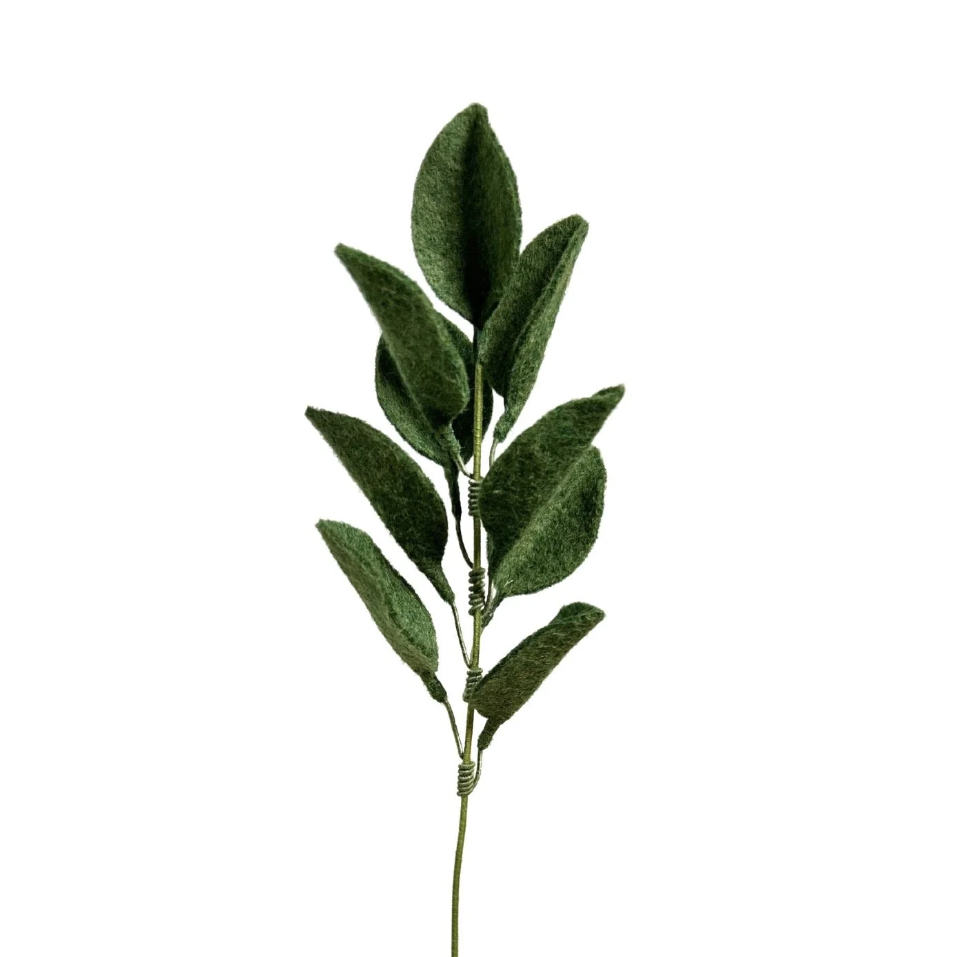 Untitled design.jpeg