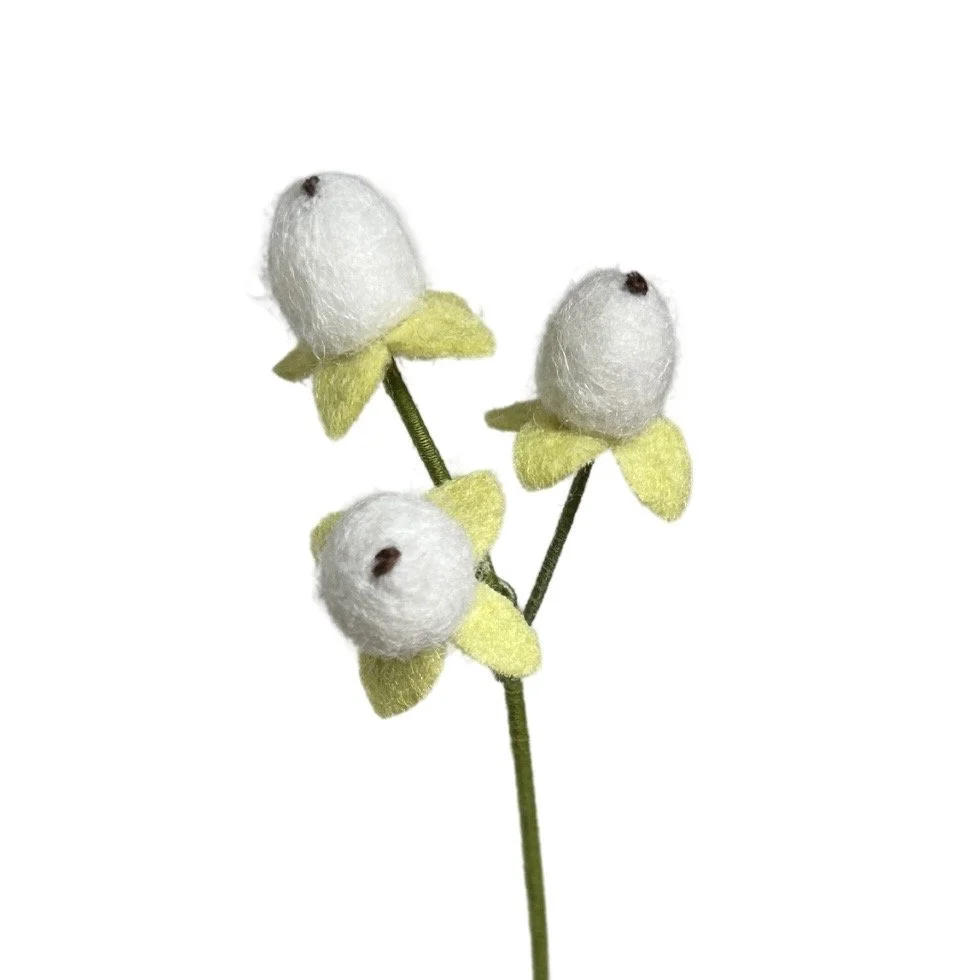 Hypericum Berry - White