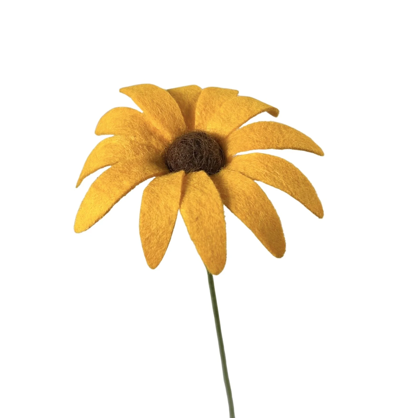 Black-Eyed Susan