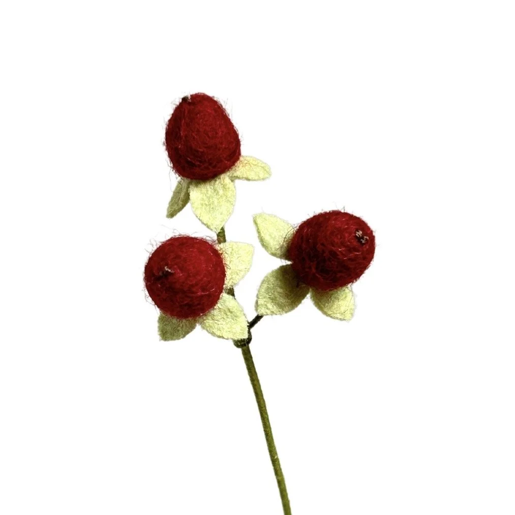 Hypericum Berry - Burgundy