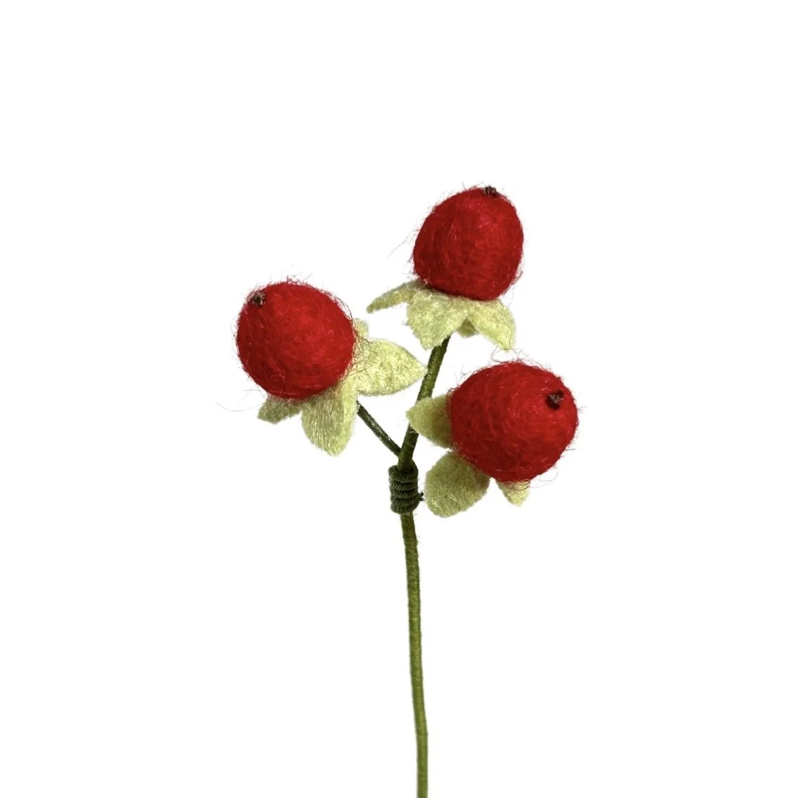 Hypericum Berry - Red