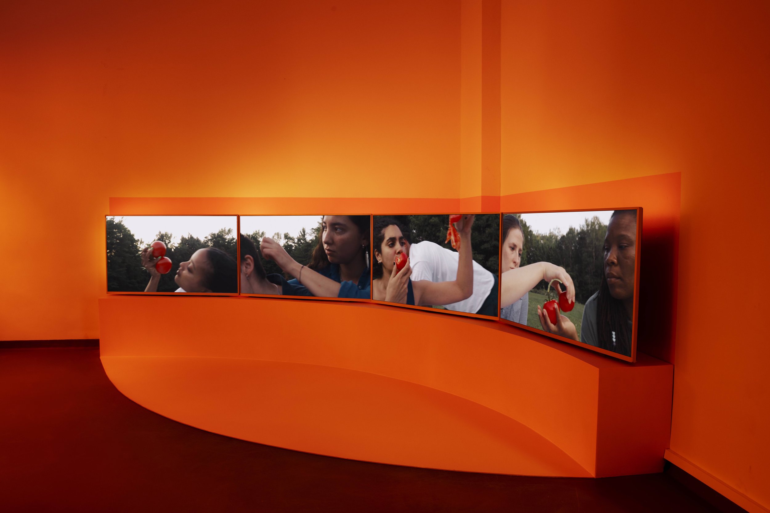 JVE INSTALL 2 complete small.jpg