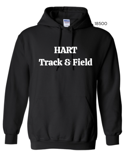 Adult Gildan hoodie with graphic