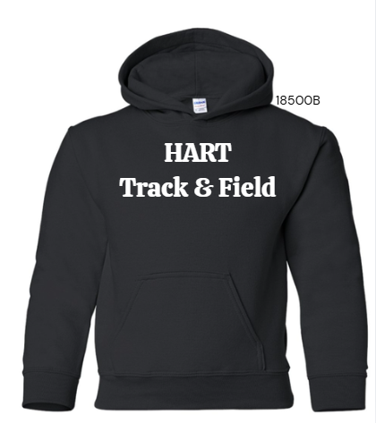 Youth Gildan hoodie with graphic