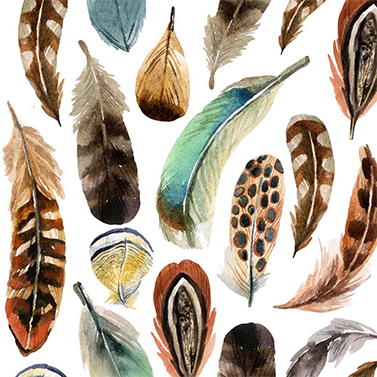 Servet Feathers.jpg