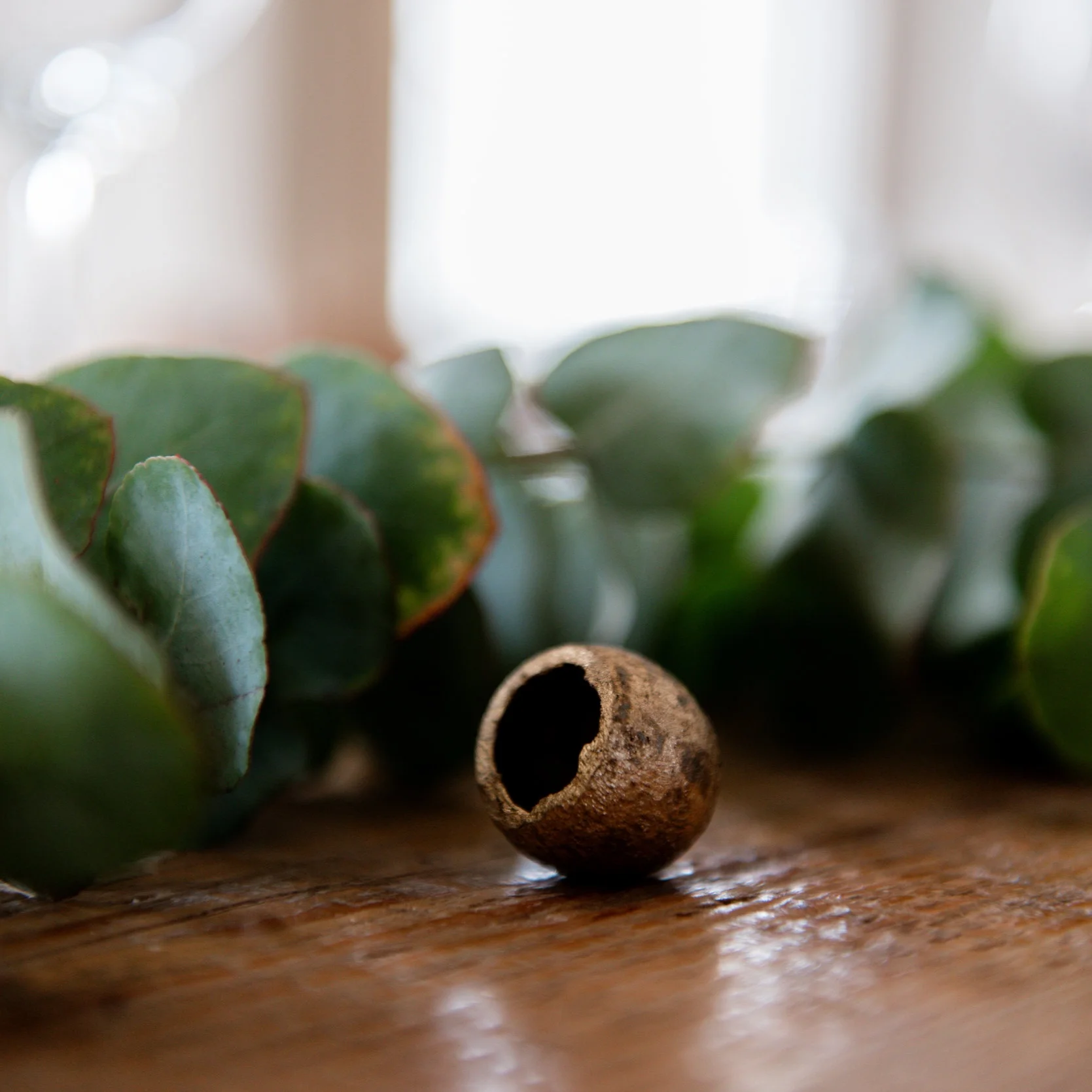 Box in the picture - Vert de Luxe