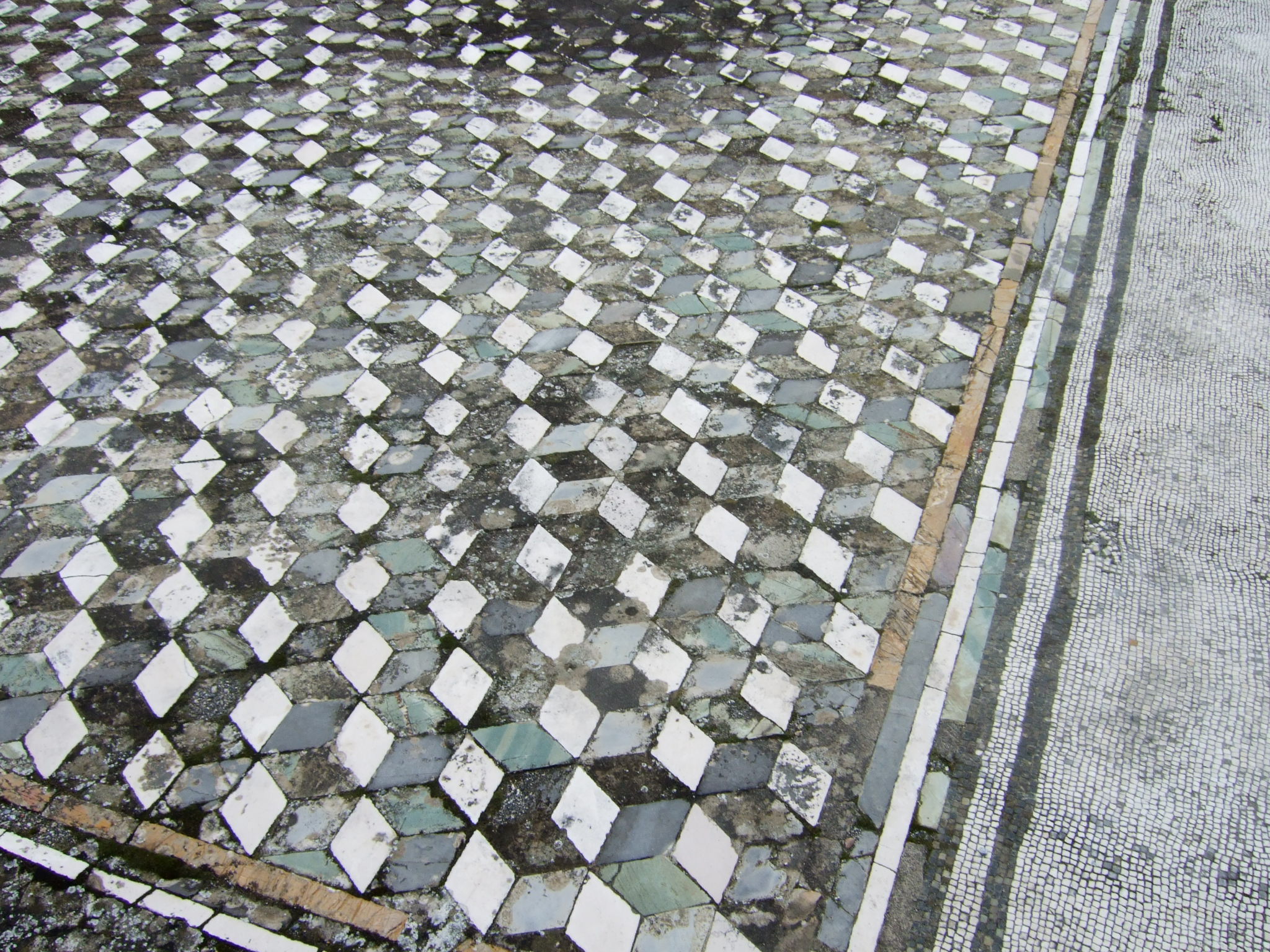 DSCF1793.jpg