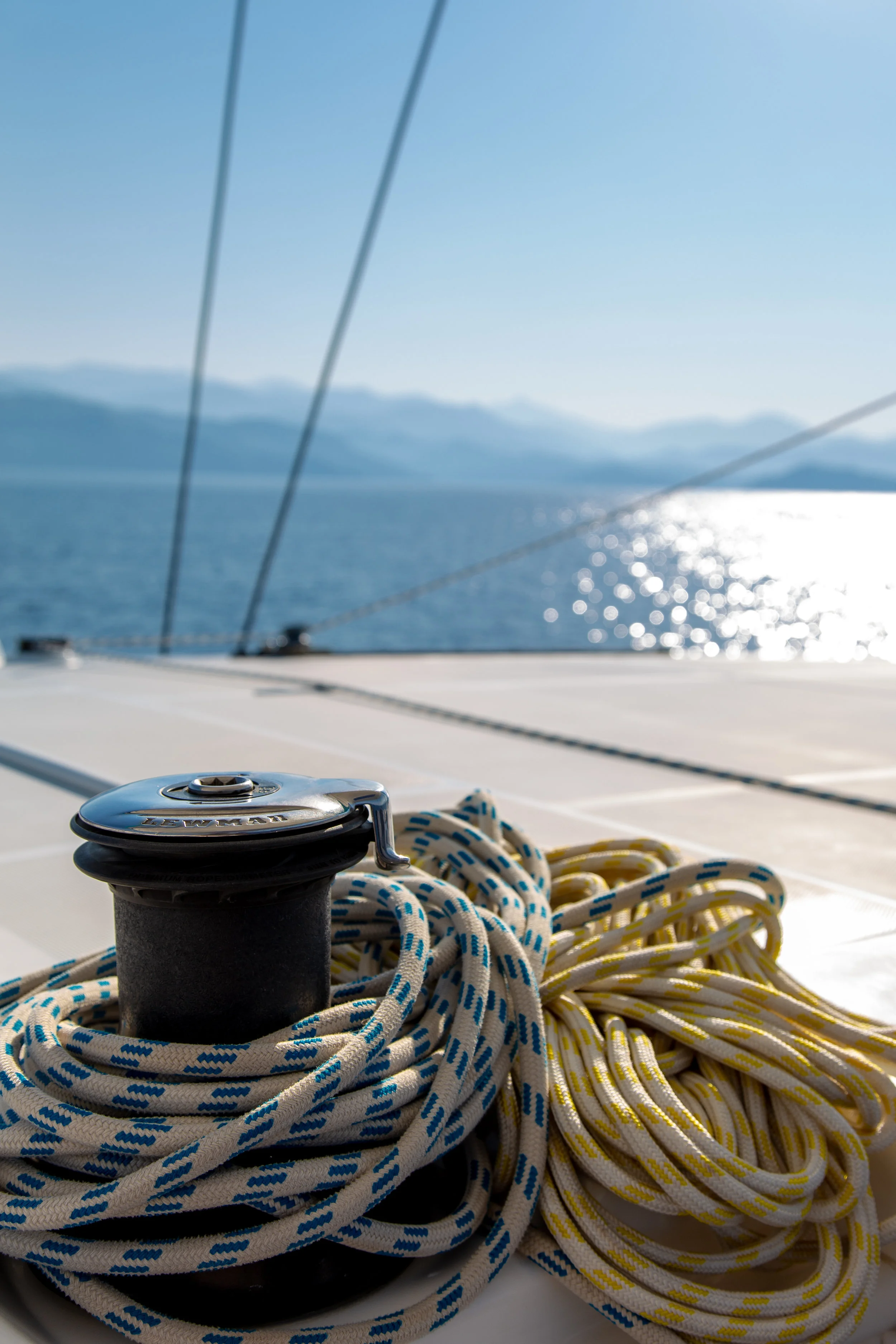 Leopard Cat ropes.jpg