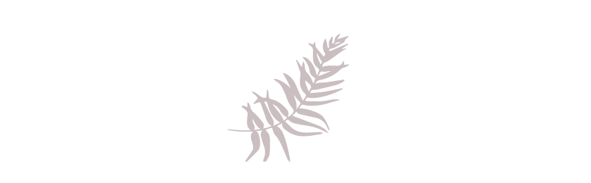 Spa310_fern.png