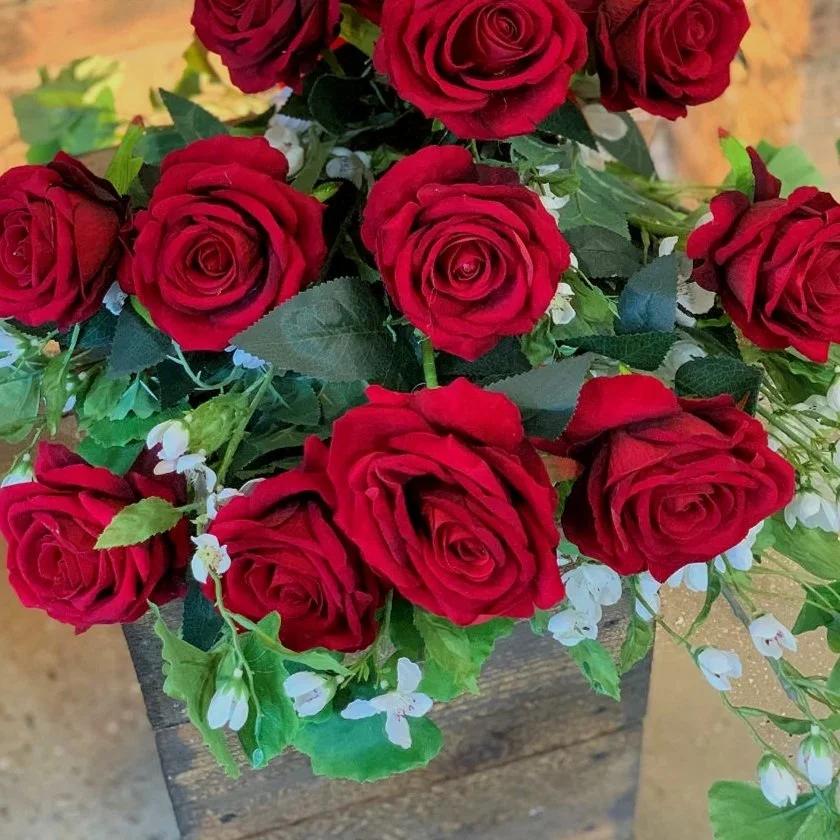 Dozen+Red+Roses+wrapped.jpg