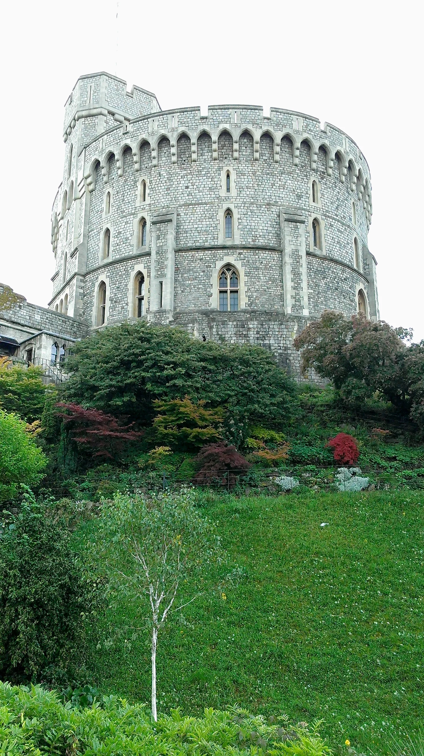 IMAG0736.jpg