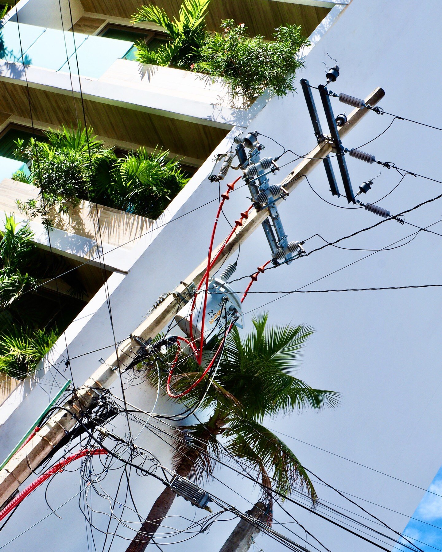 𝗧𝗛𝗘 𝗦𝗧𝗢𝗥𝗬 𝗢𝗙 ...
𝗪𝗵𝗶𝗹𝗲 𝗜 𝘄𝗮𝘀 ...
👣 🌺 One of the most amazing aspects of Playa del Carmen is the incredible number of electrical utility poles that line the streets. They are literally everywhere and their sheer presence makes up 