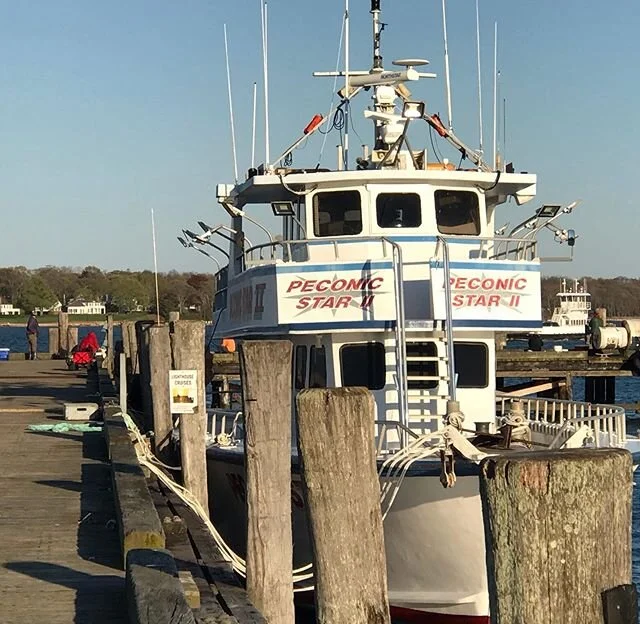 Boats in the water and people fishing. It feels almost normal!