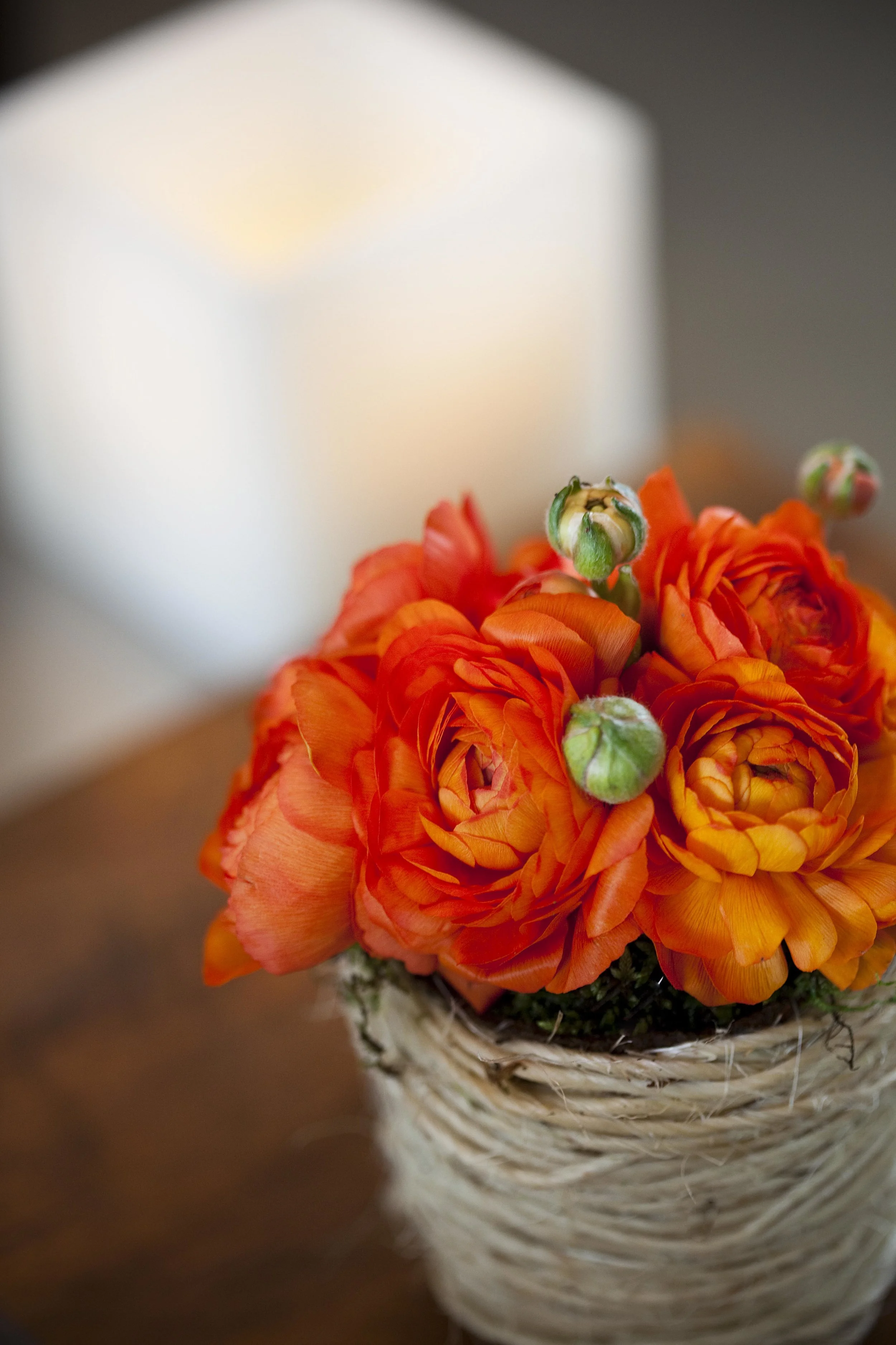 20100507_164.jpg