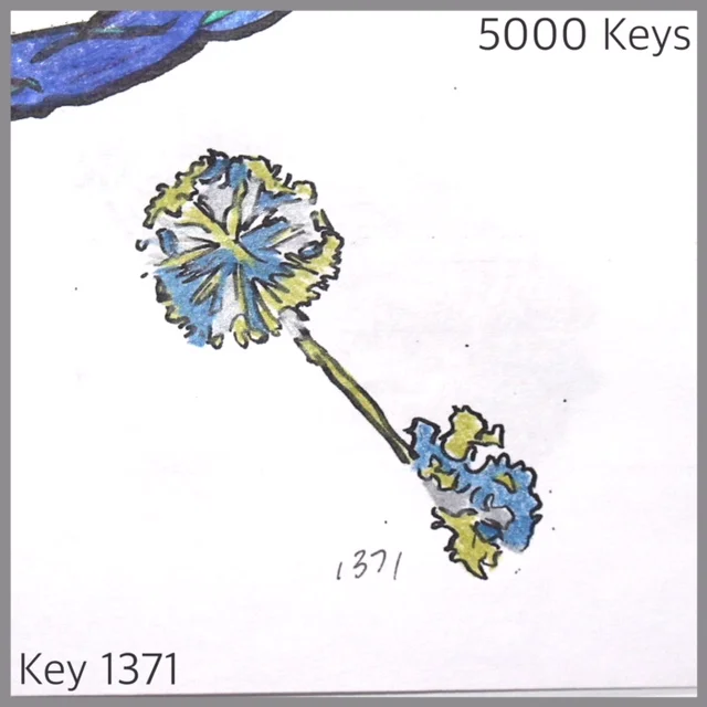 The Colouring Book Continues: Keys 1332 - 1387