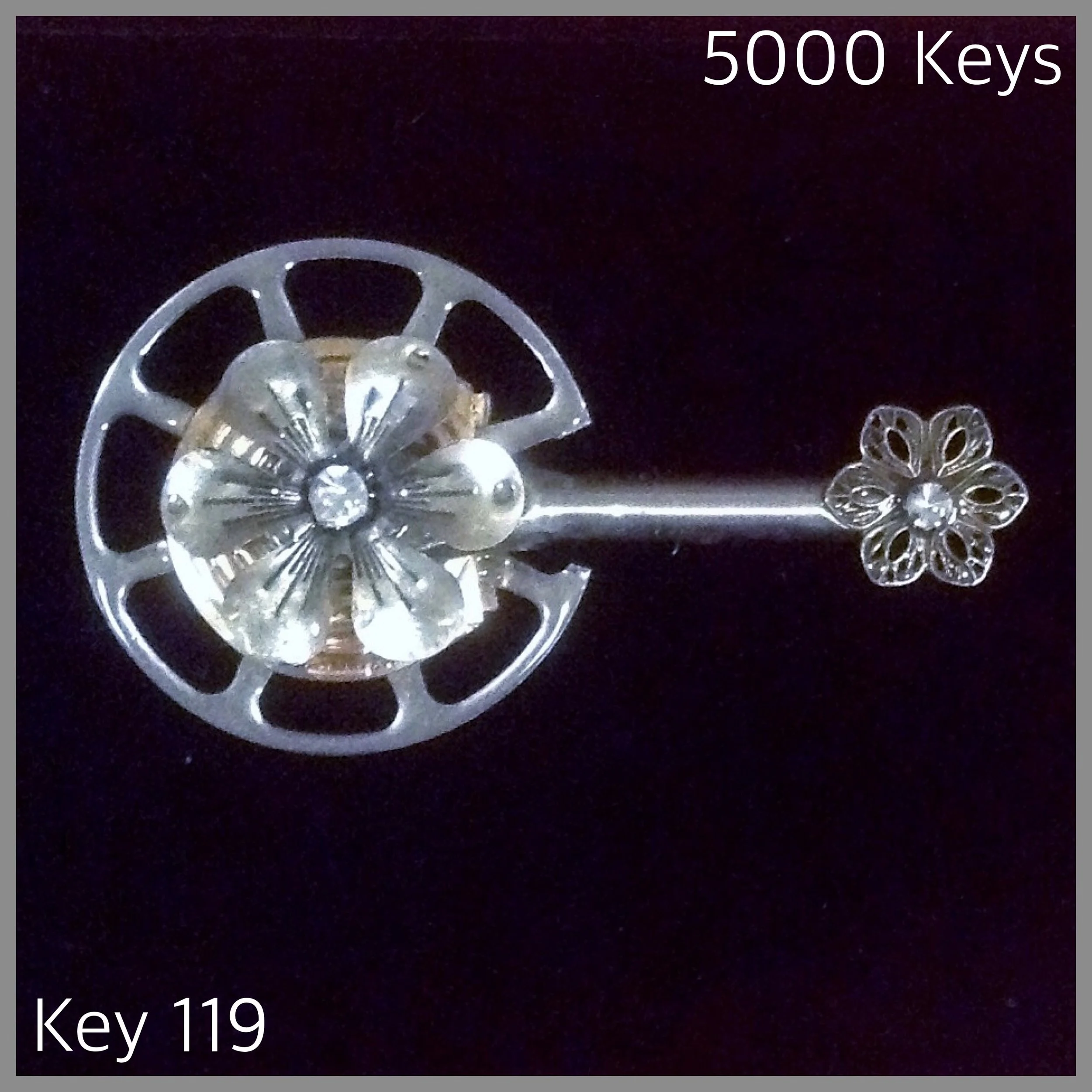 Key 119 = 1.JPG