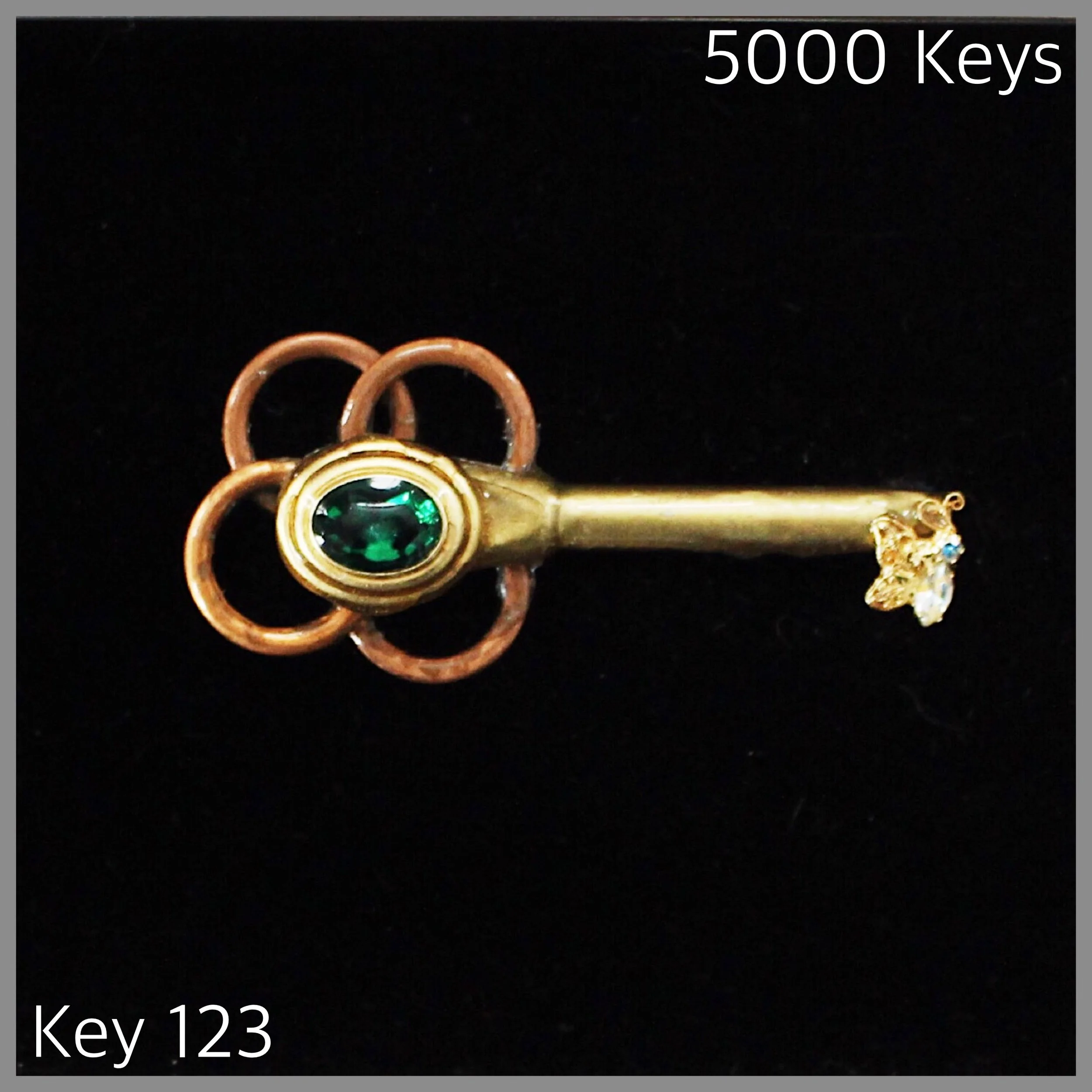Key 123 - 1.JPG