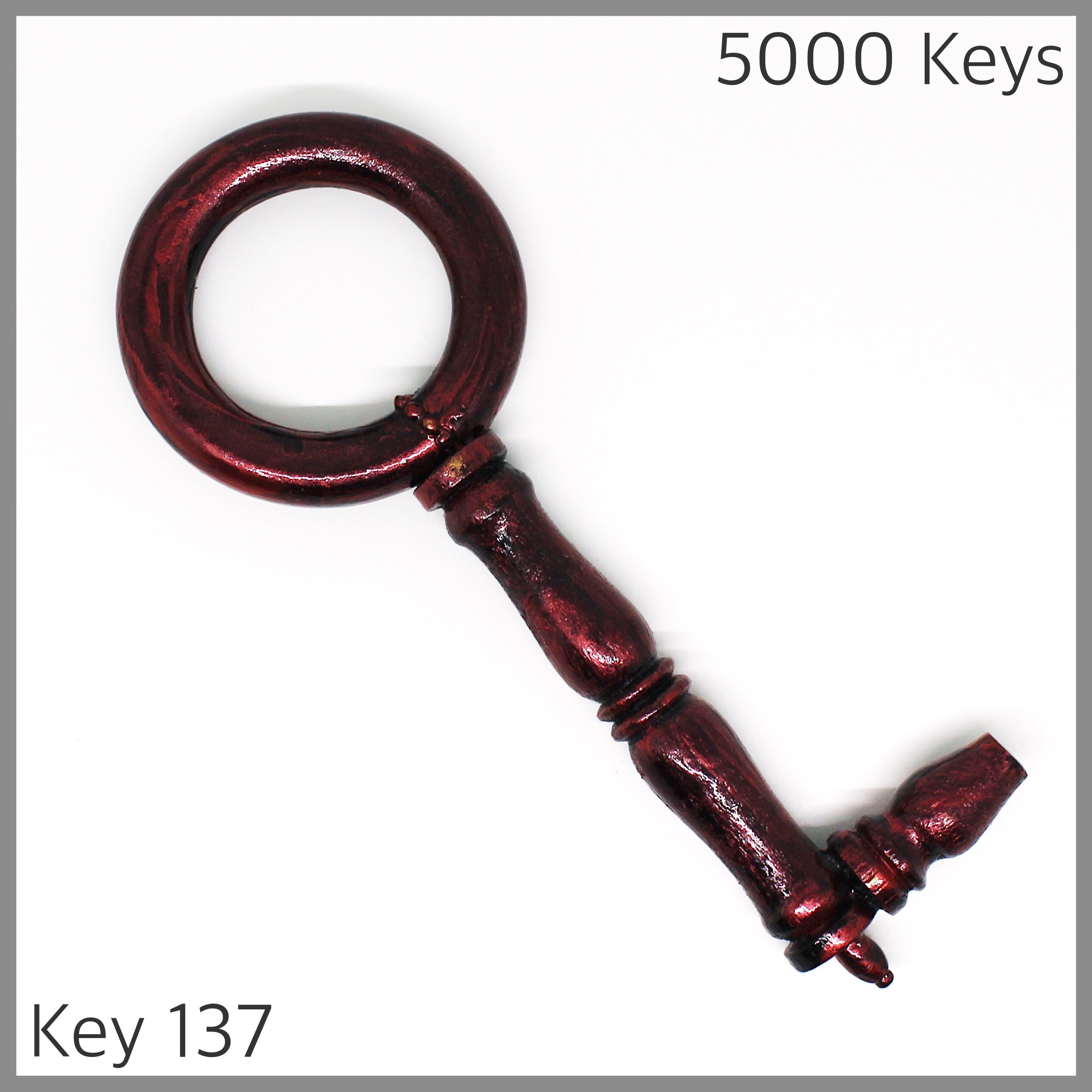 Key 137 - 1.JPG