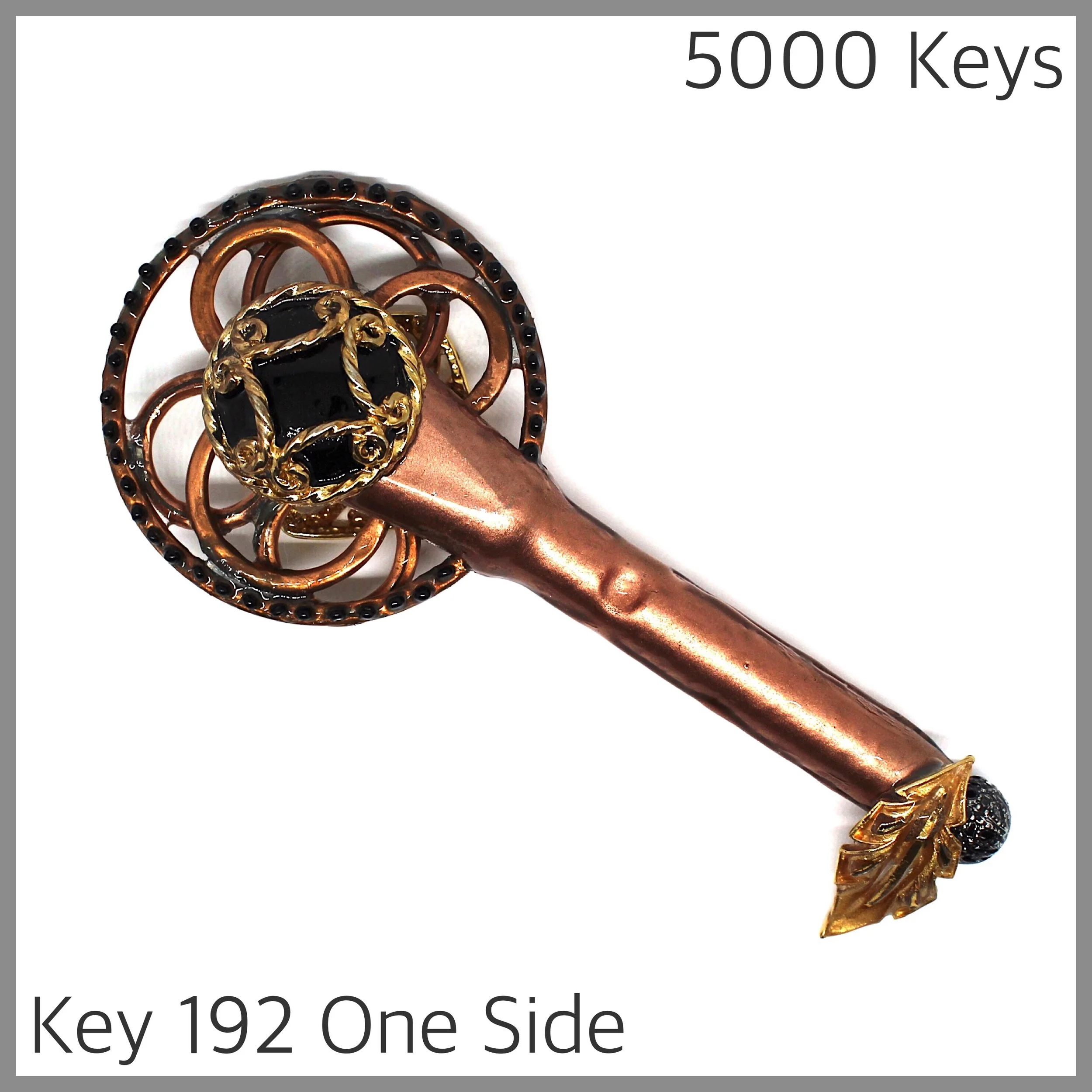 Key 192 one side - 1.JPG