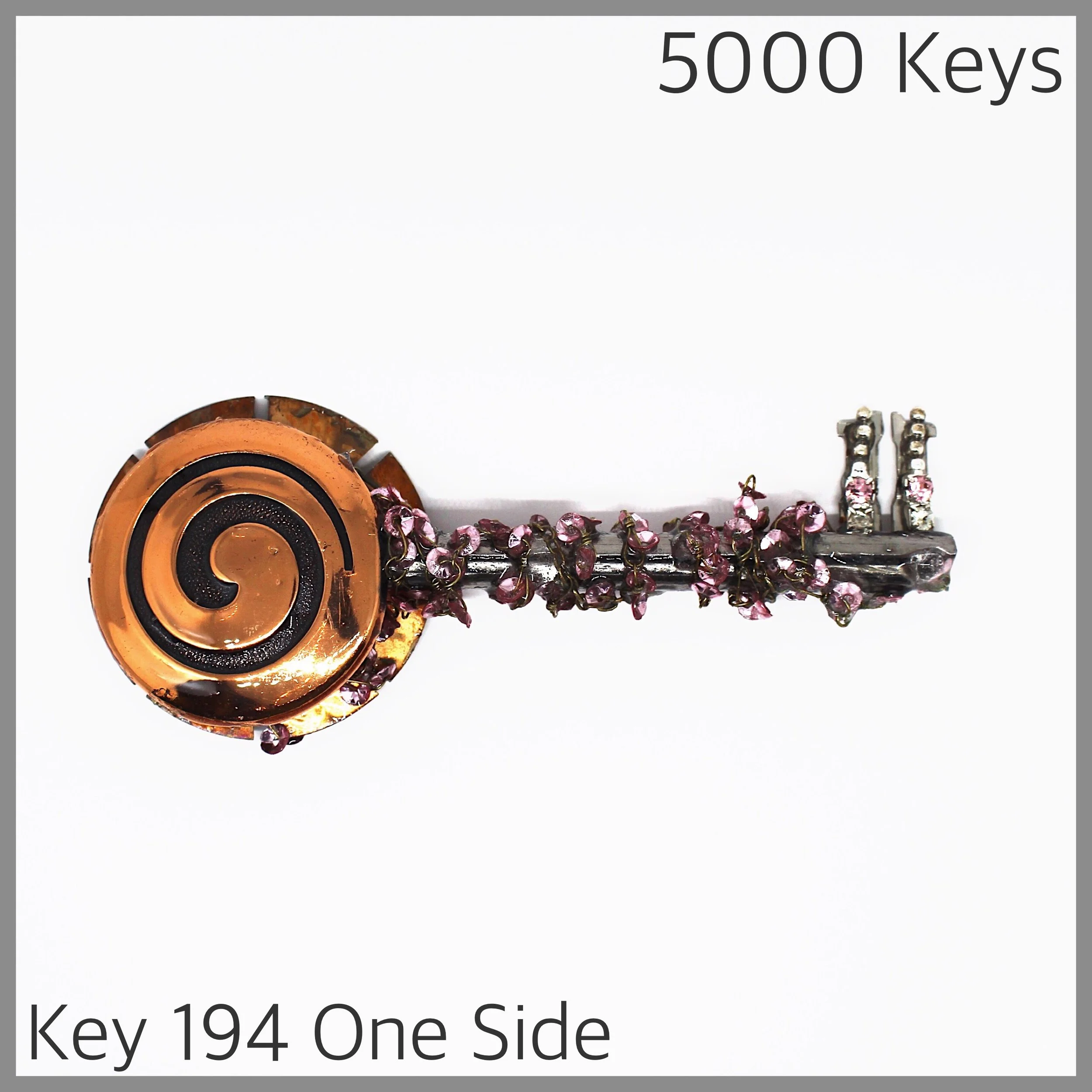 Key 194 one side - 1.JPG