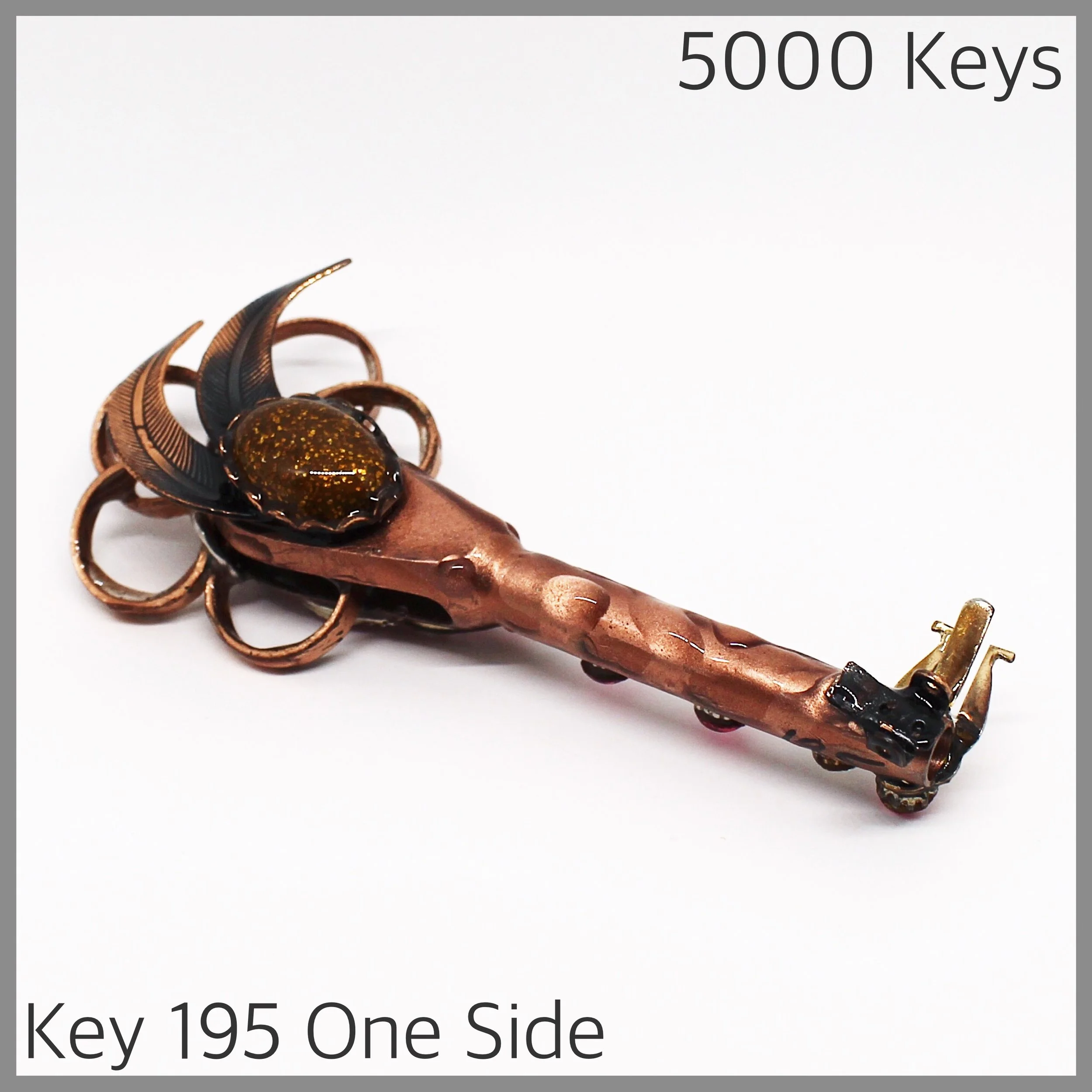 Key 195 one side - 1.JPG