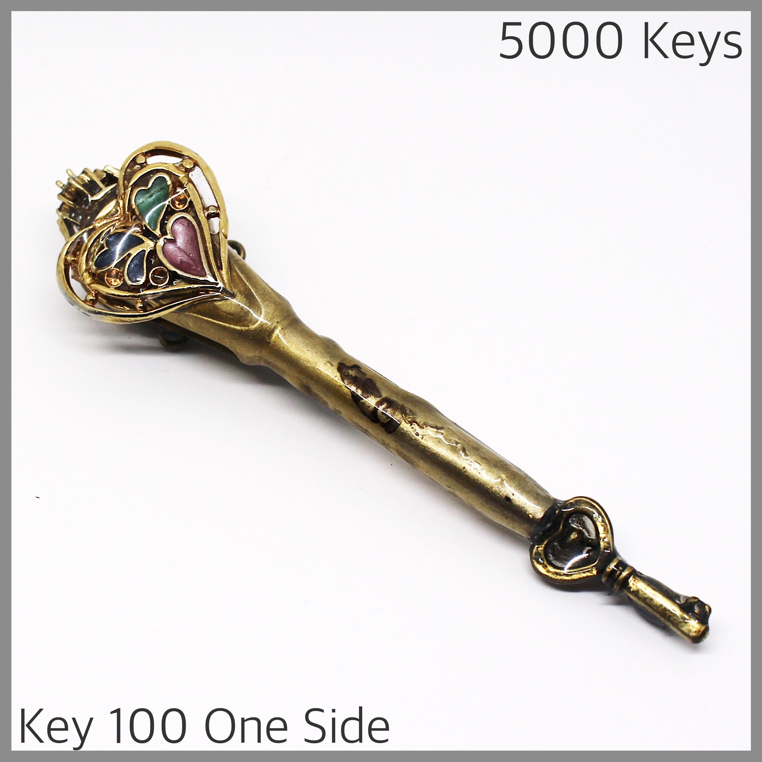Key 100 one side.JPG