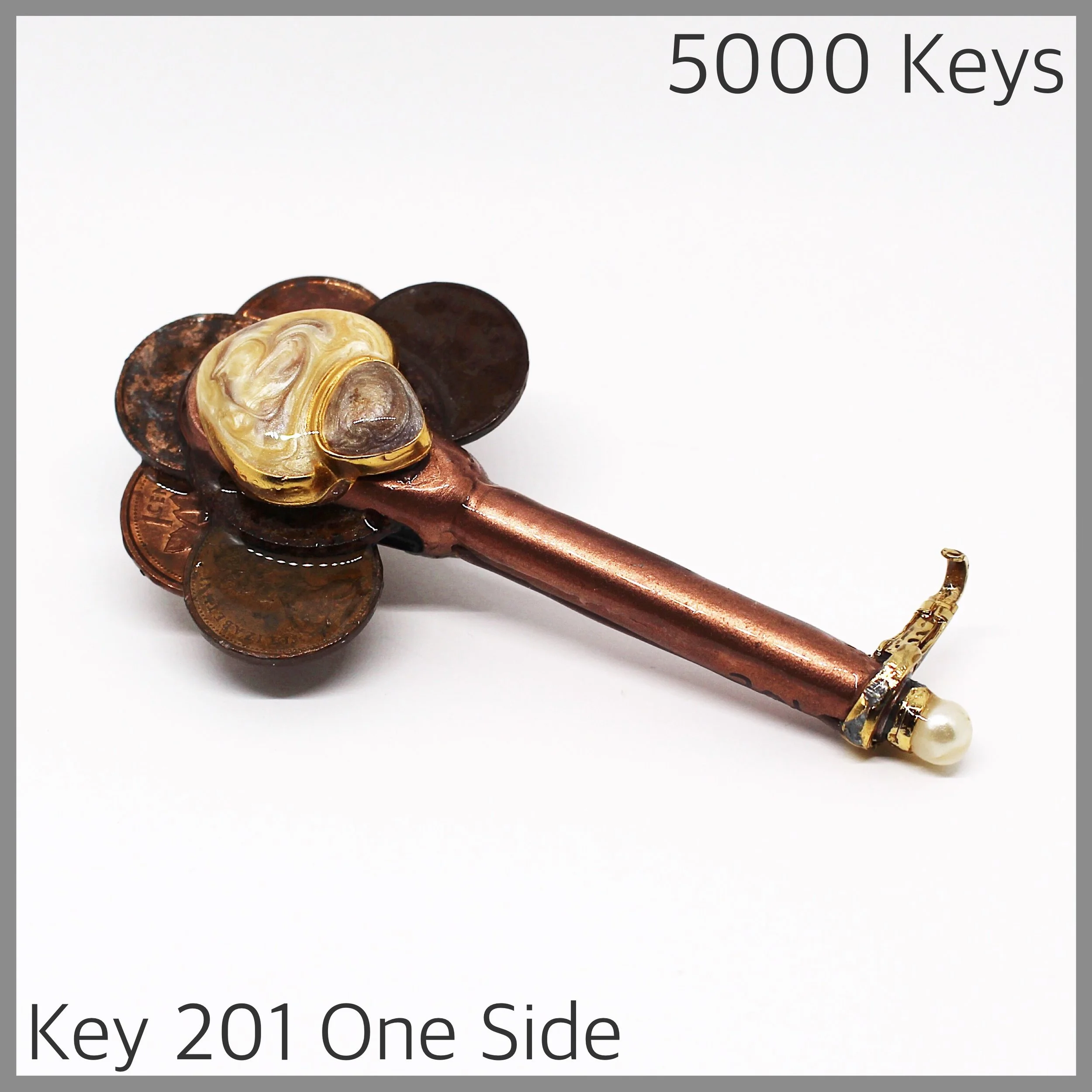 Key 201 one side - 1.JPG