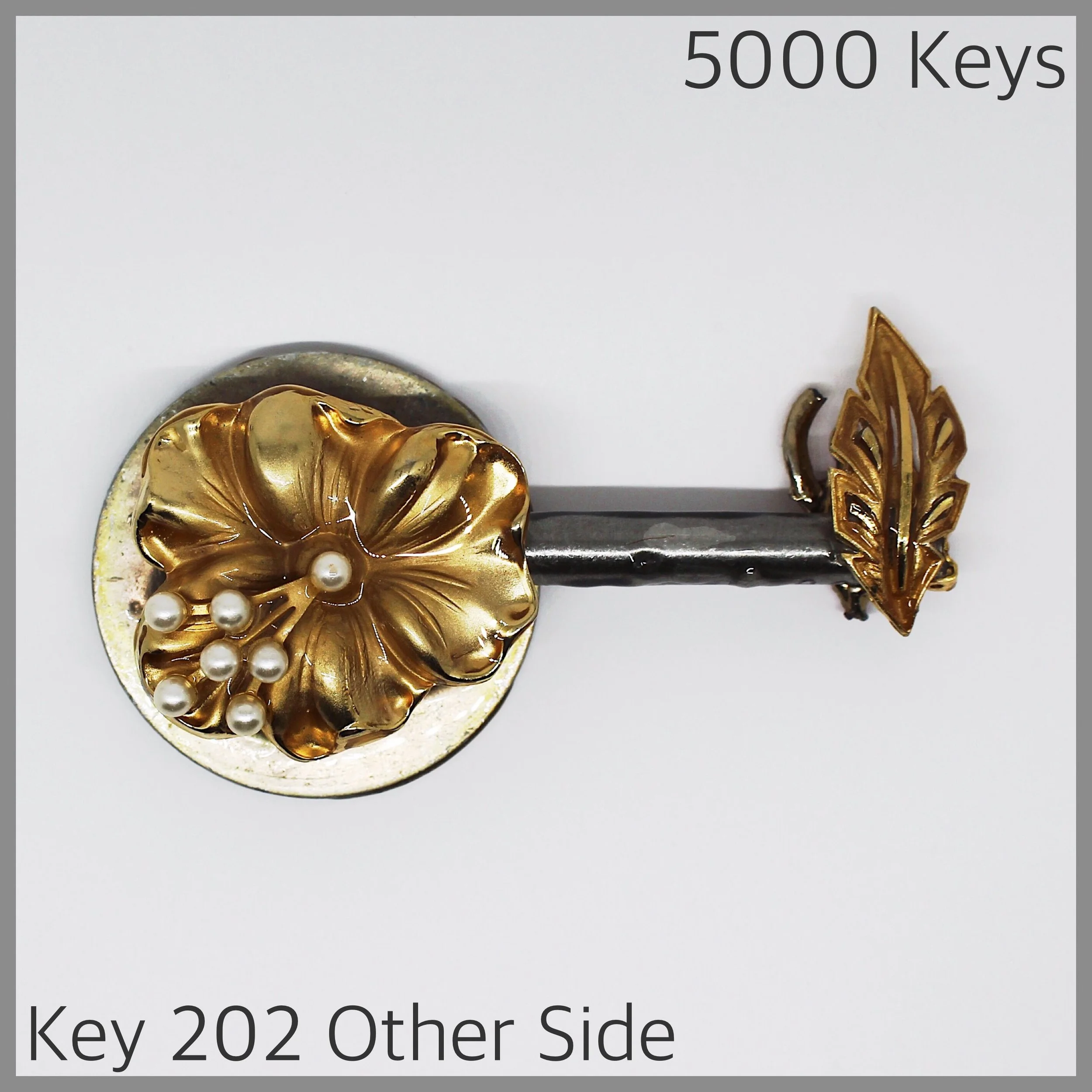 Key 202 other side - 1.JPG