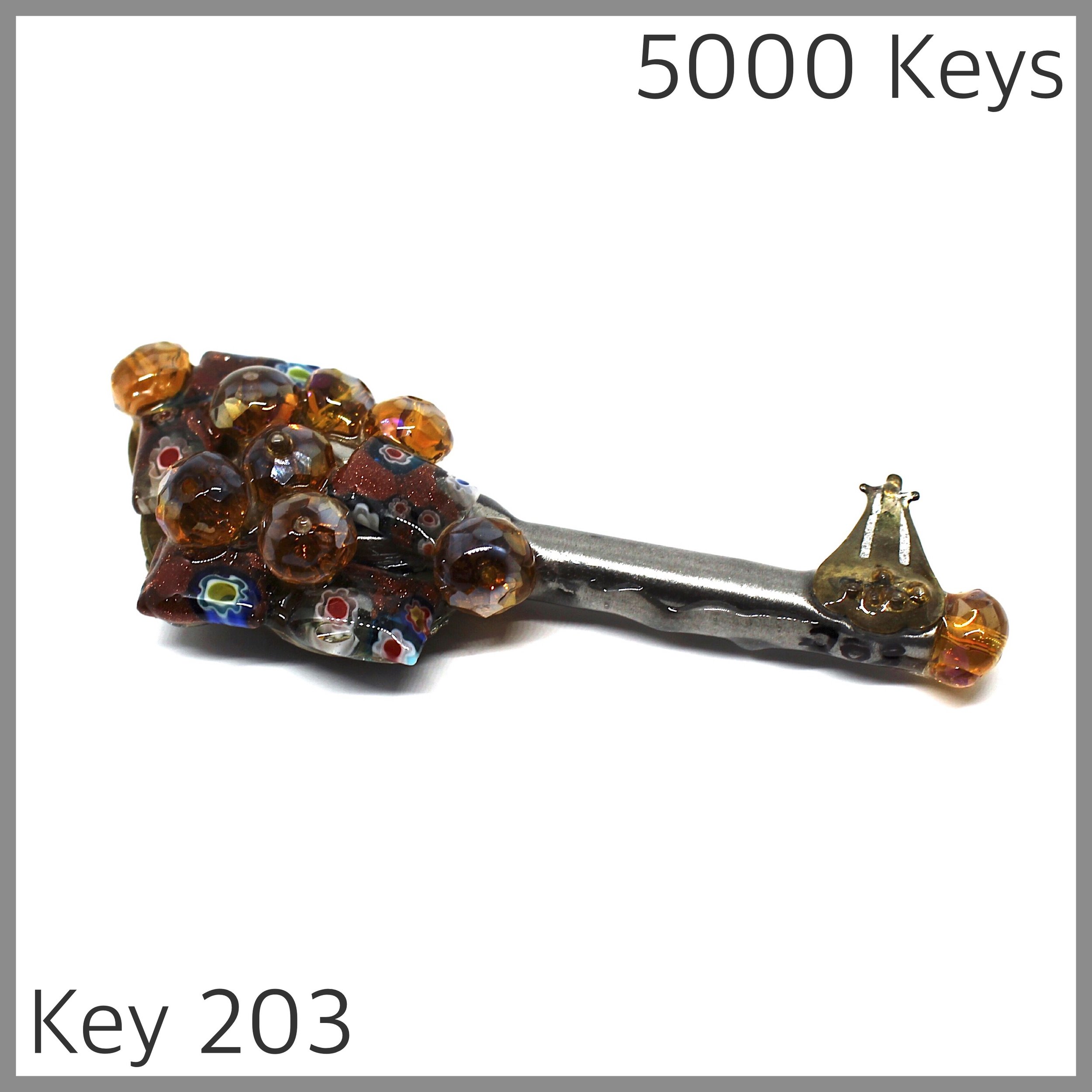 Key 203 - 1.JPG