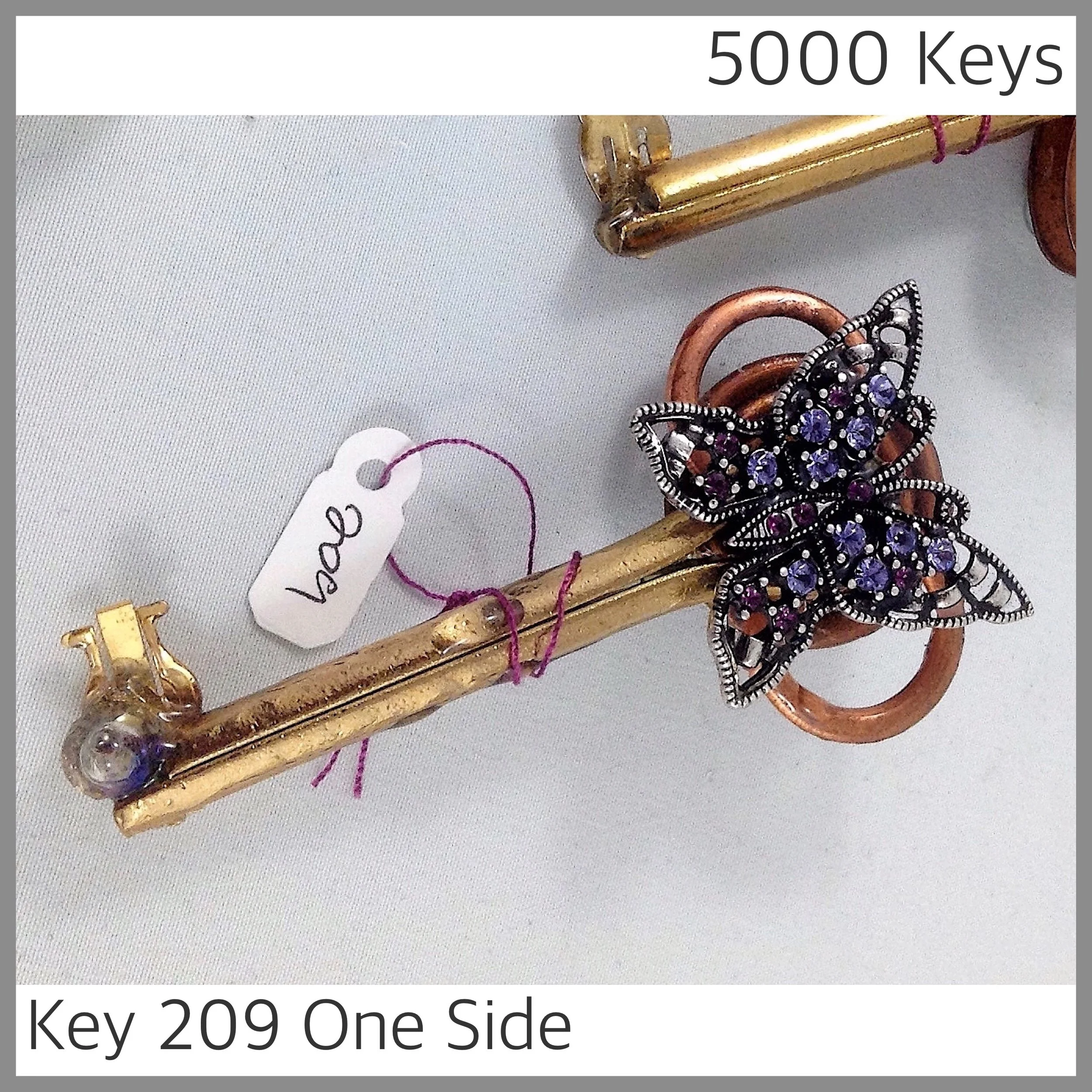 Key 209 one side - 1.JPG