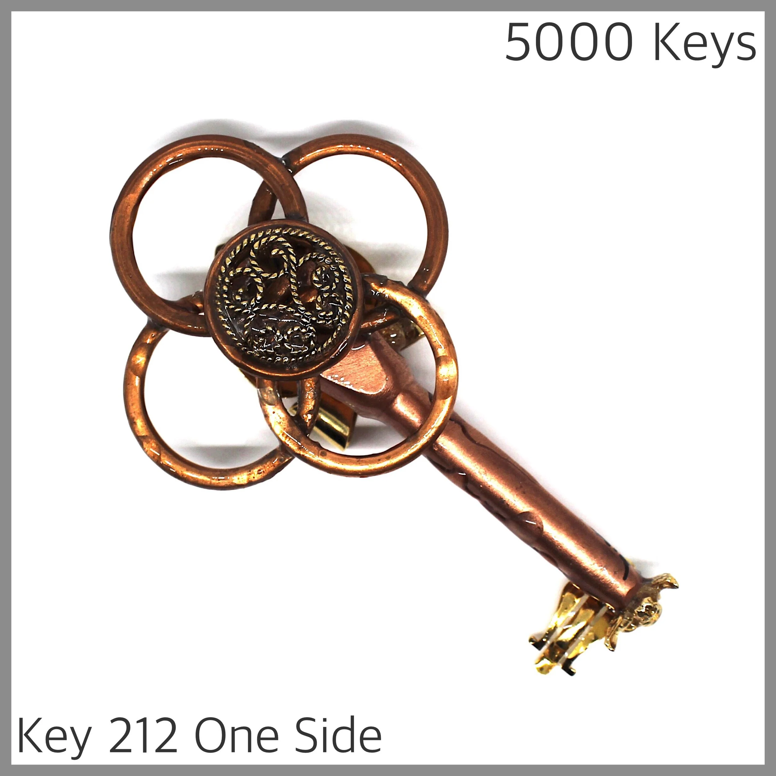 Key 212 one side - 1.JPG