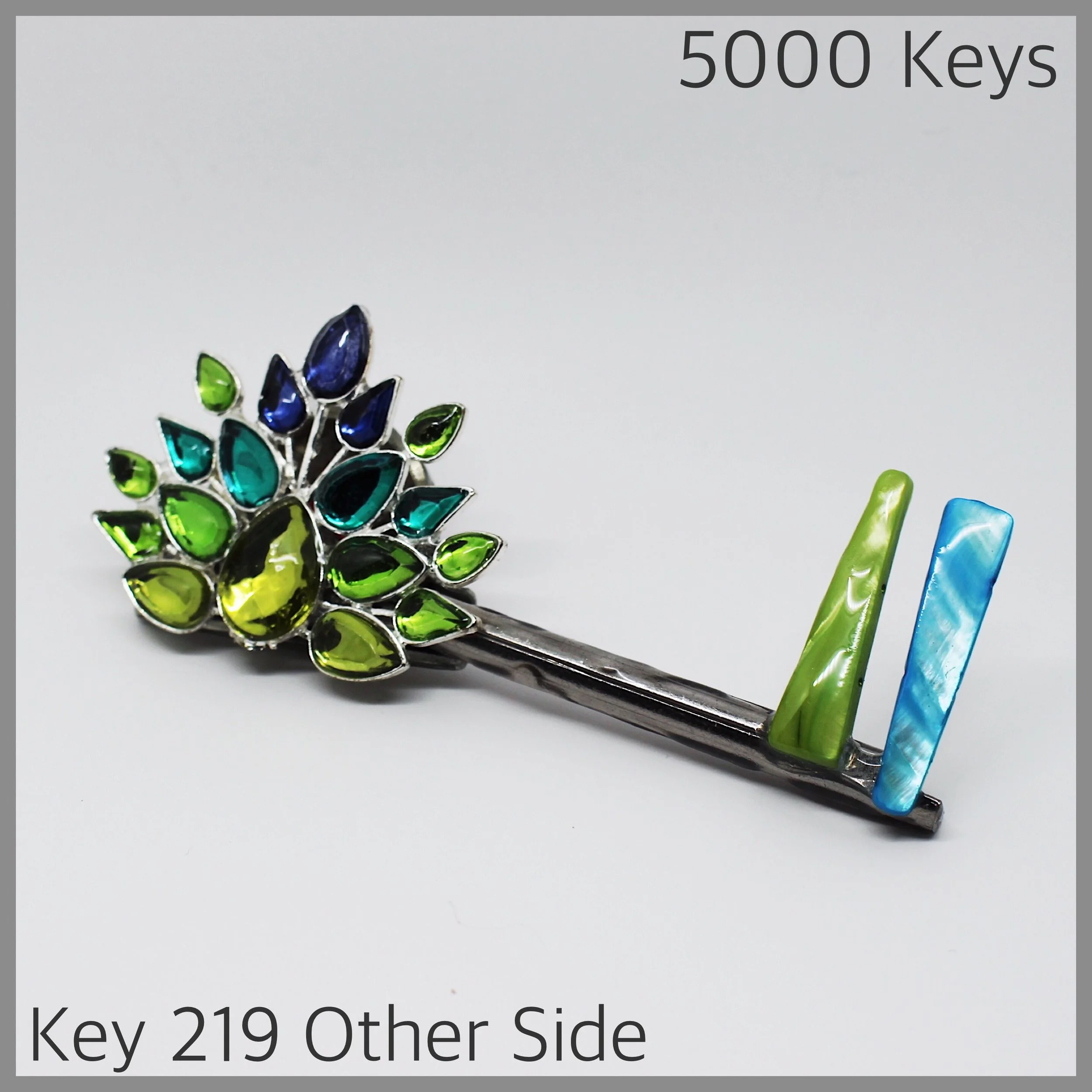 Key 219 other side - 1.JPG