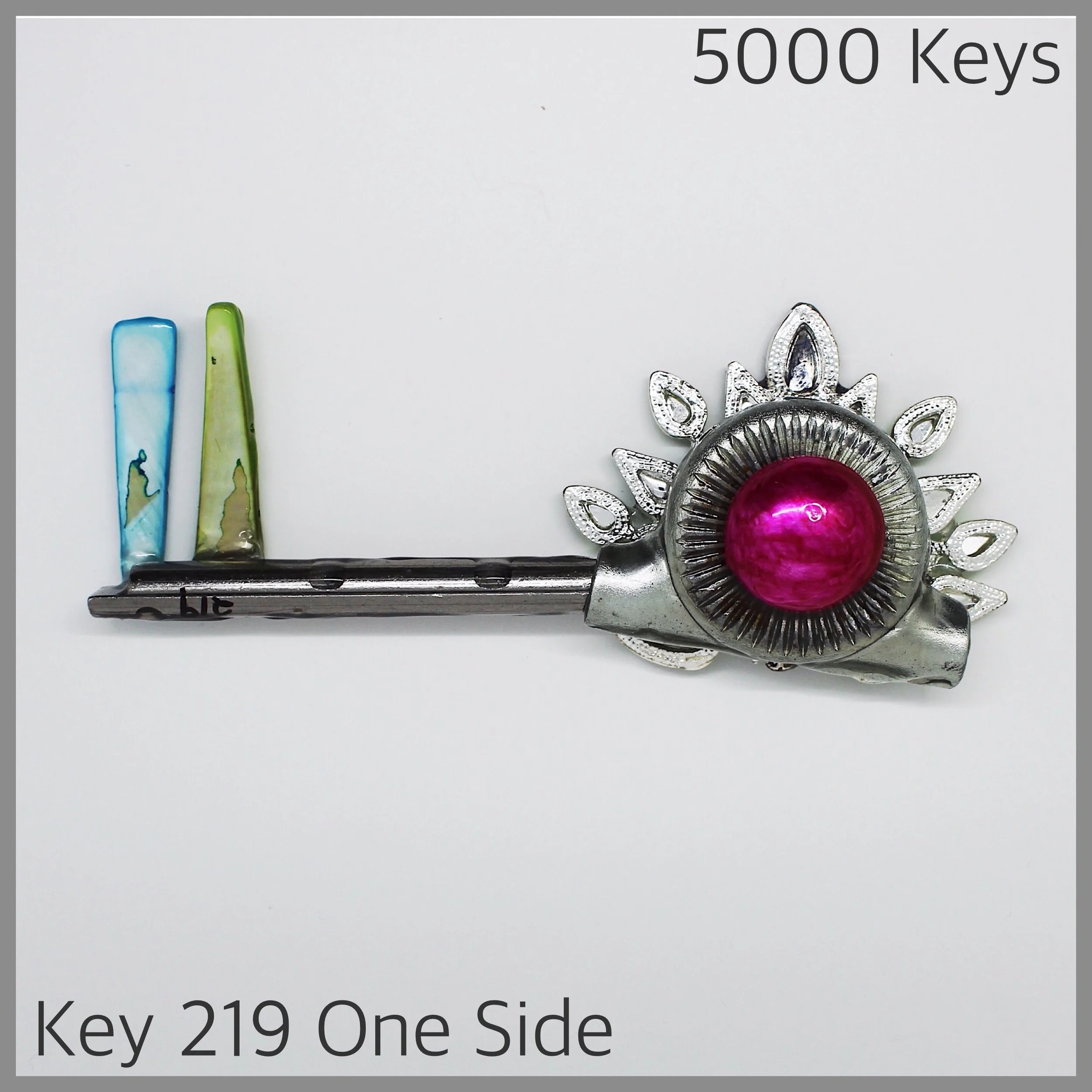 Key 219 one side - 1.JPG