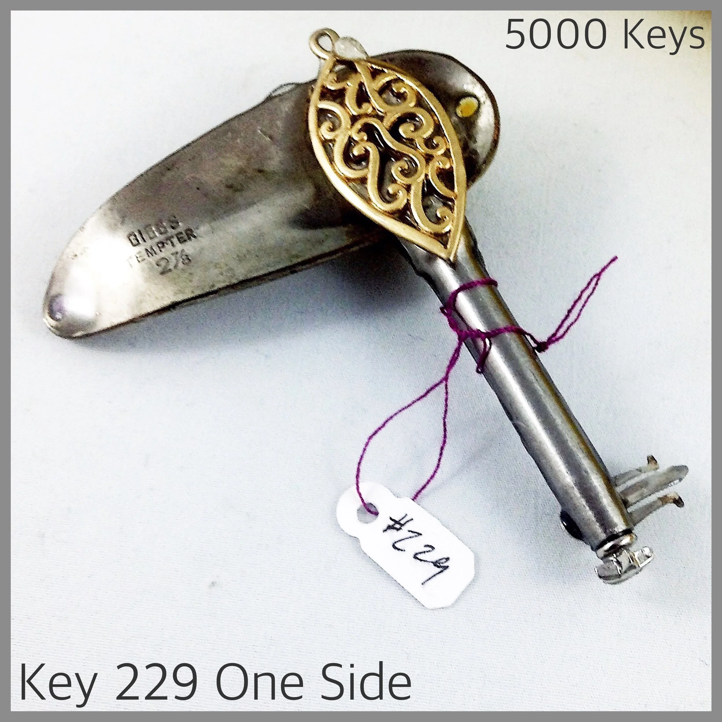 Key 229 one side - 1.JPG
