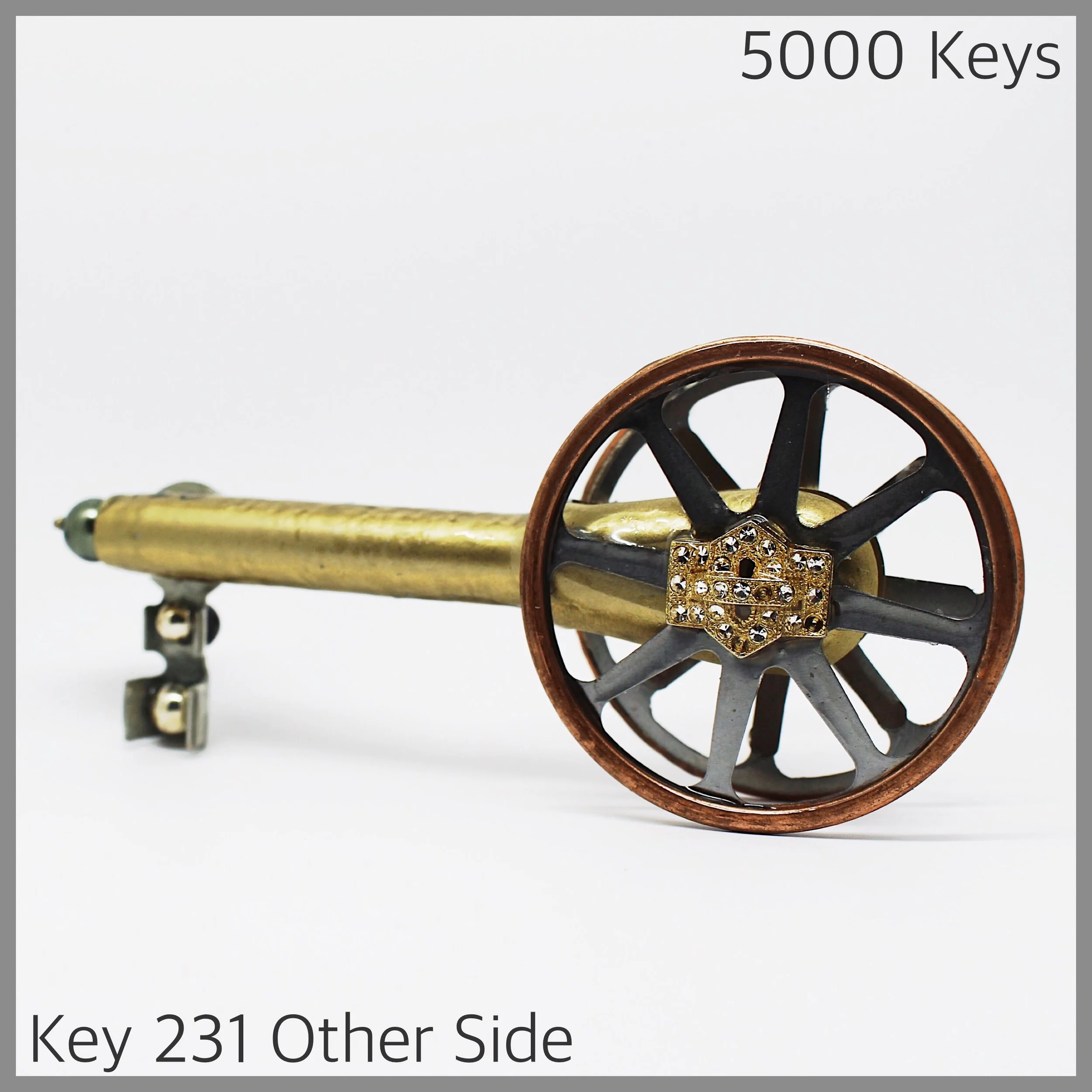 Key 231 - 1.JPG