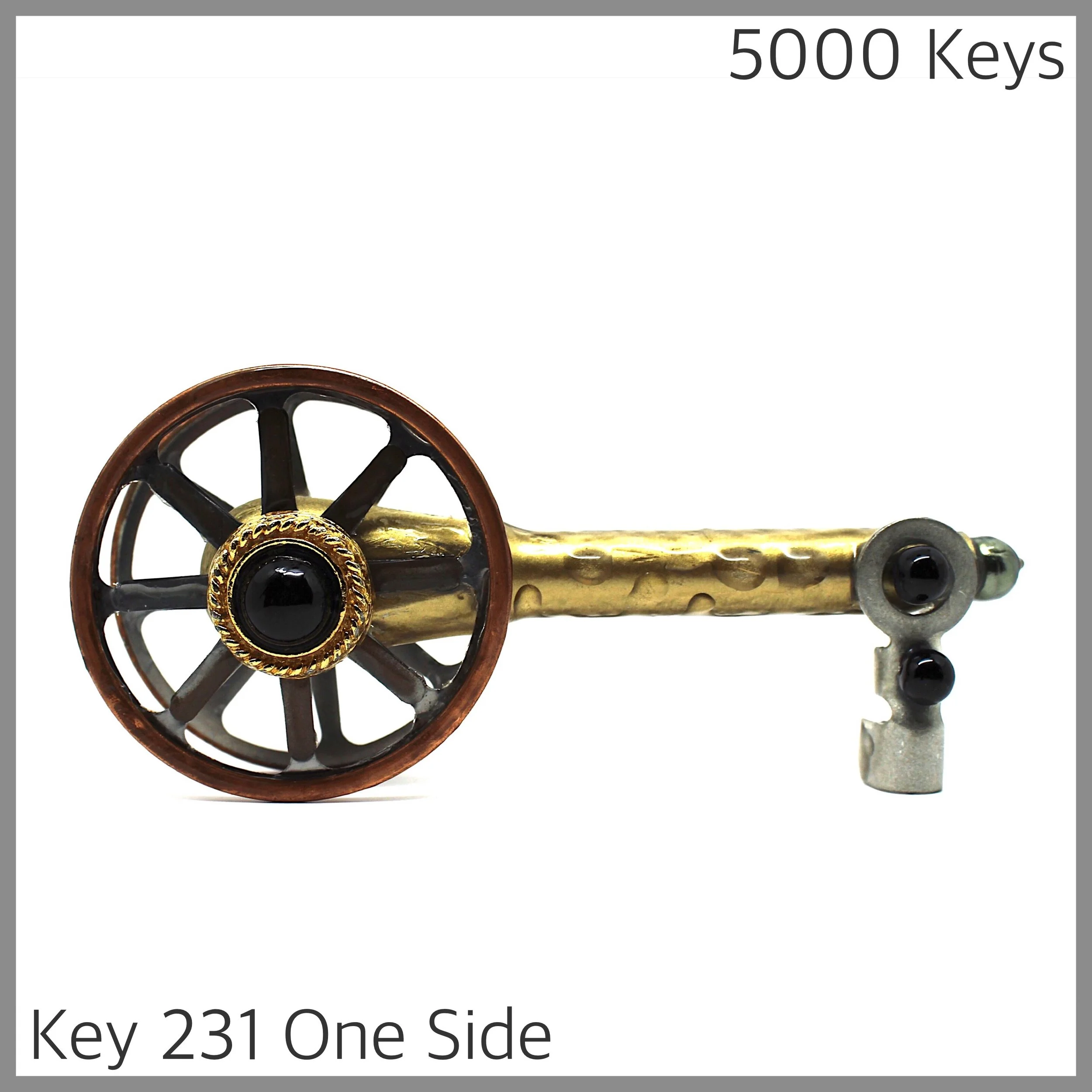 Key 231 one side - 1.JPG