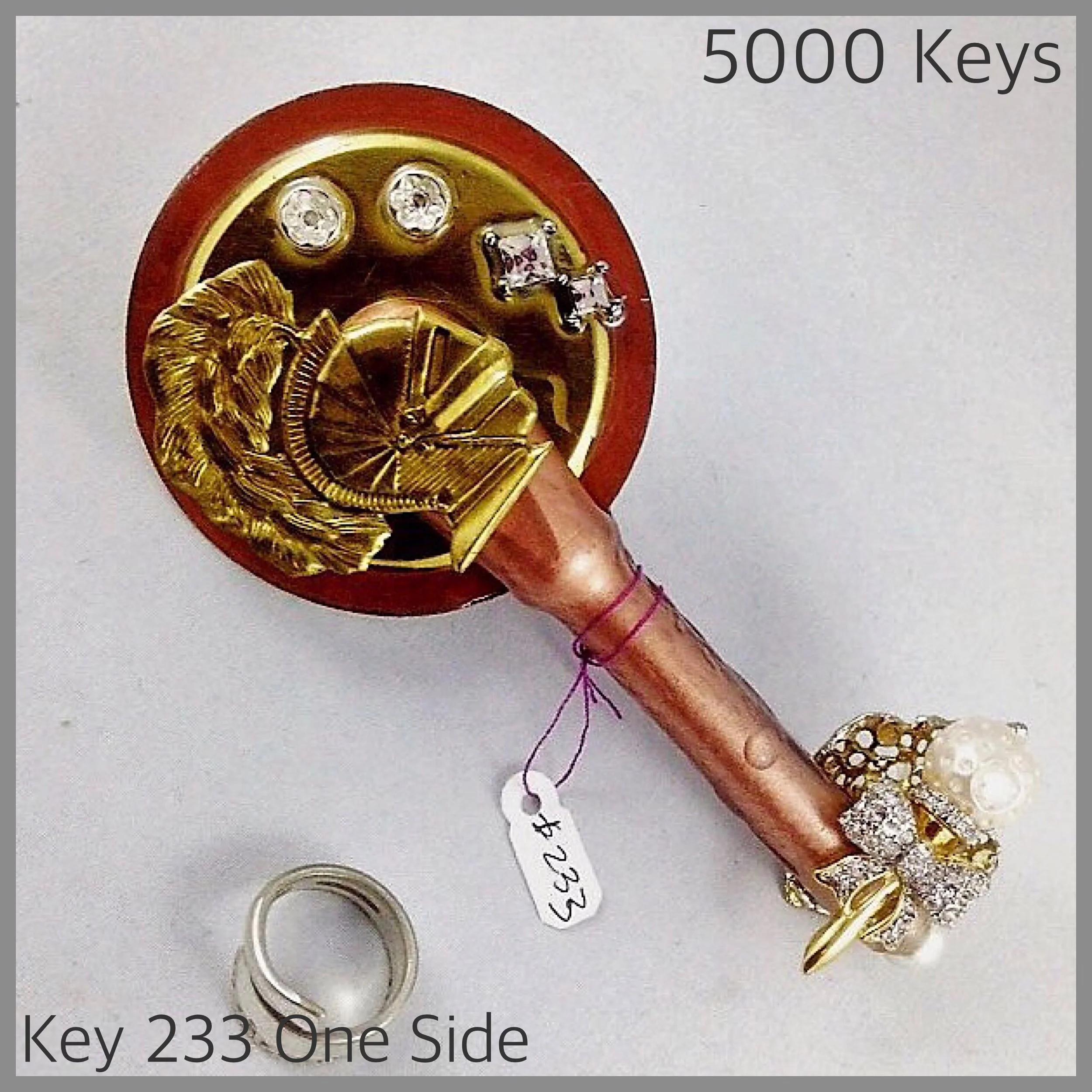 Key 233 one side - 1.JPG
