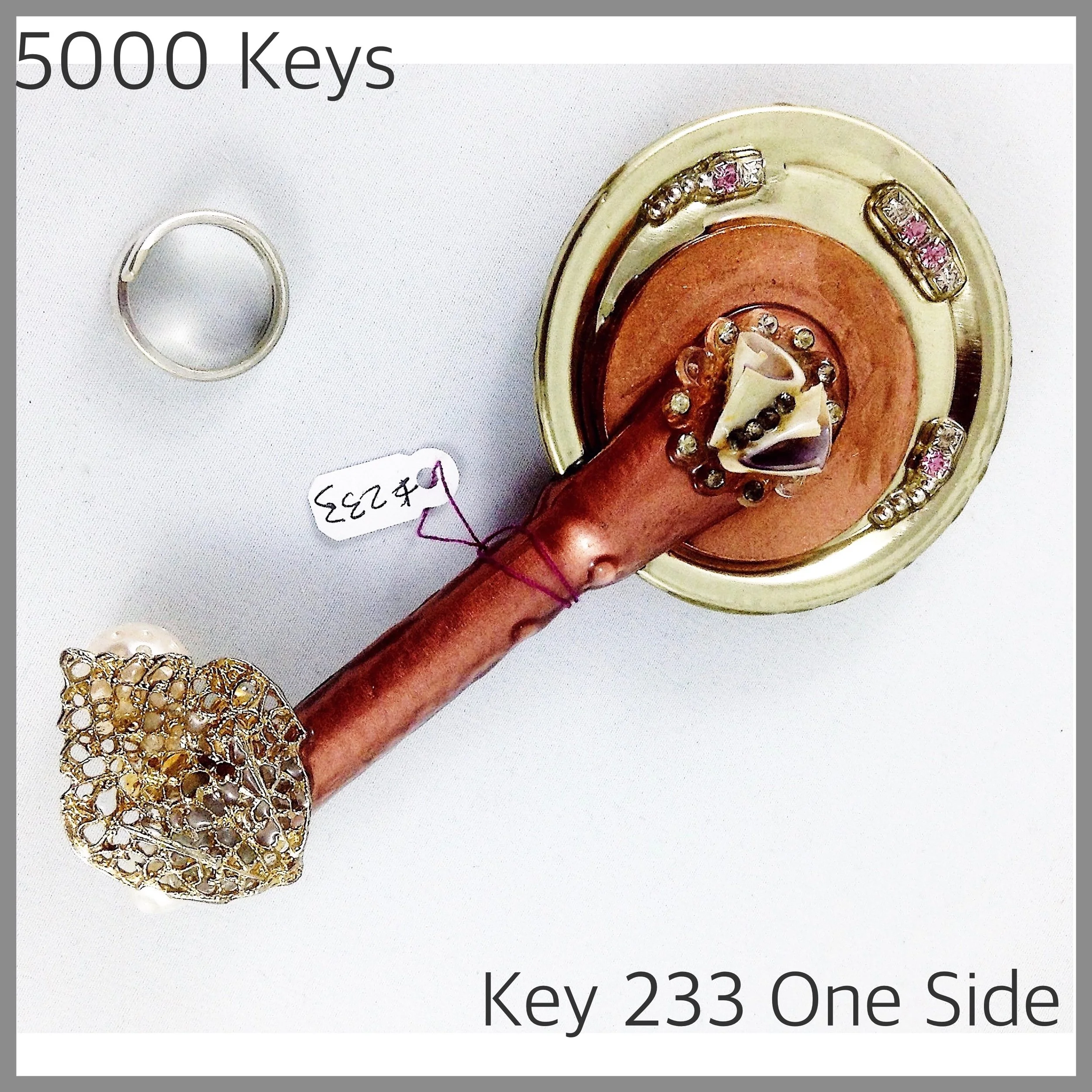 Key 233 other side - 1.JPG