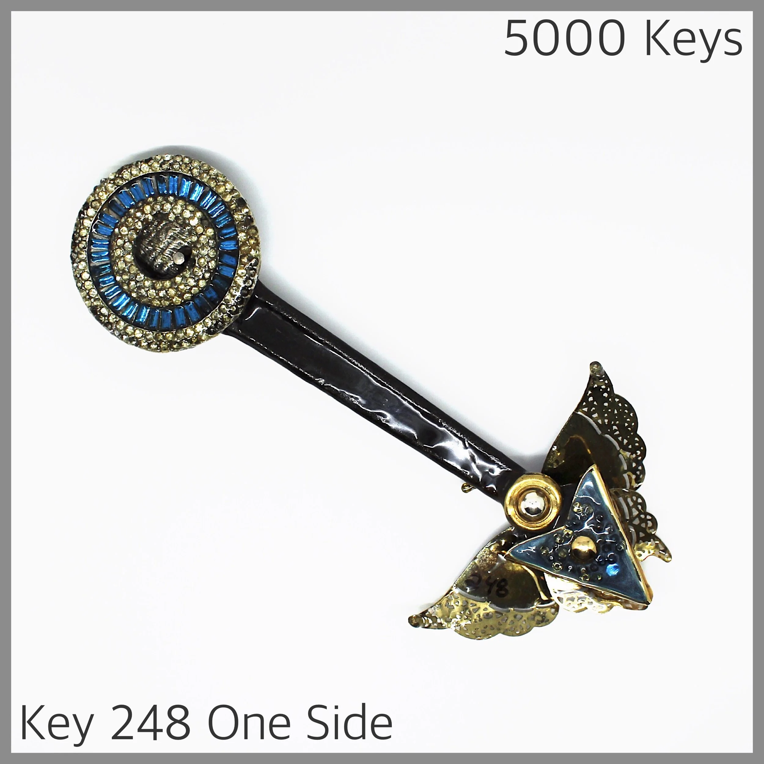 Key 248 one side - 1.JPG
