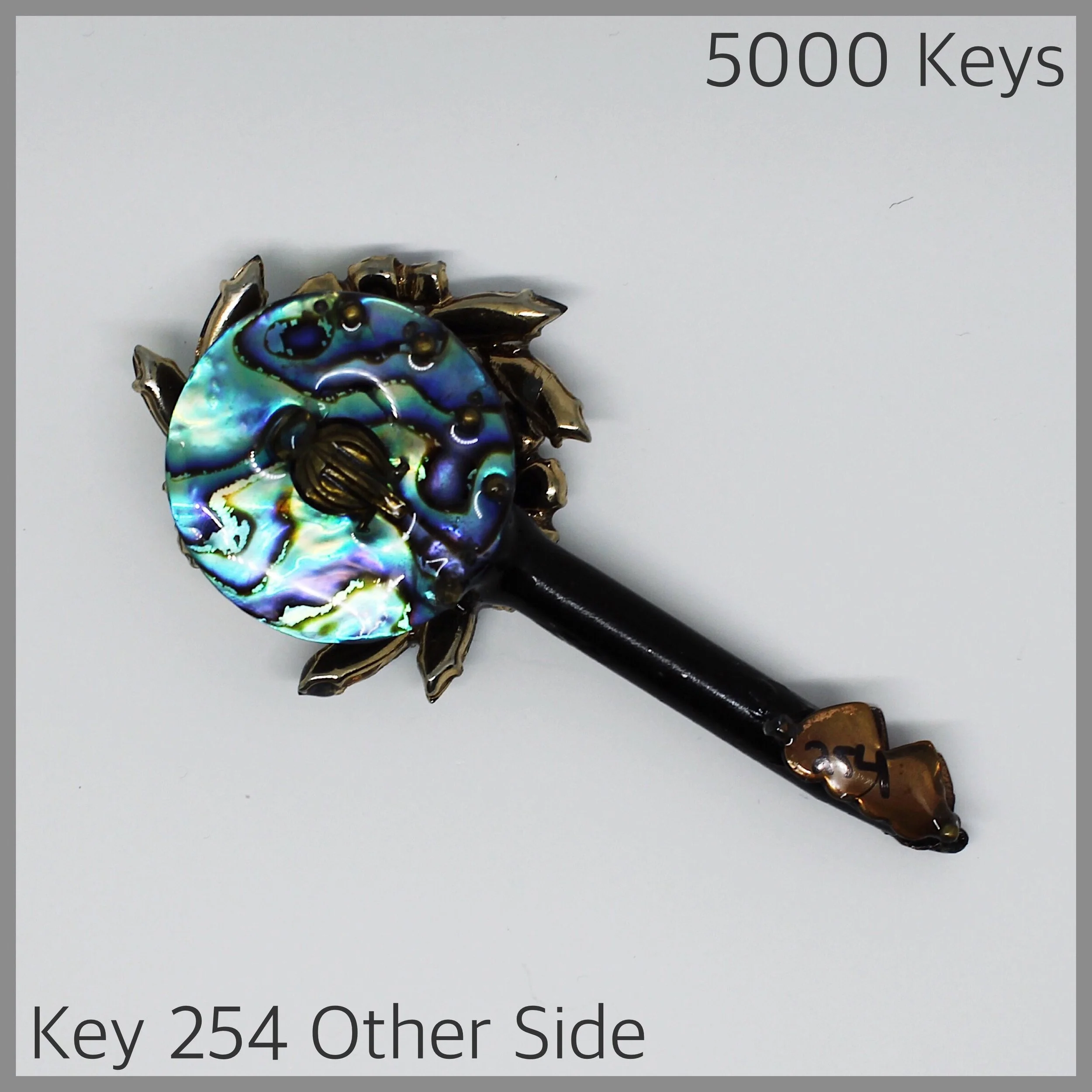 Key 254 other side - 1.JPG