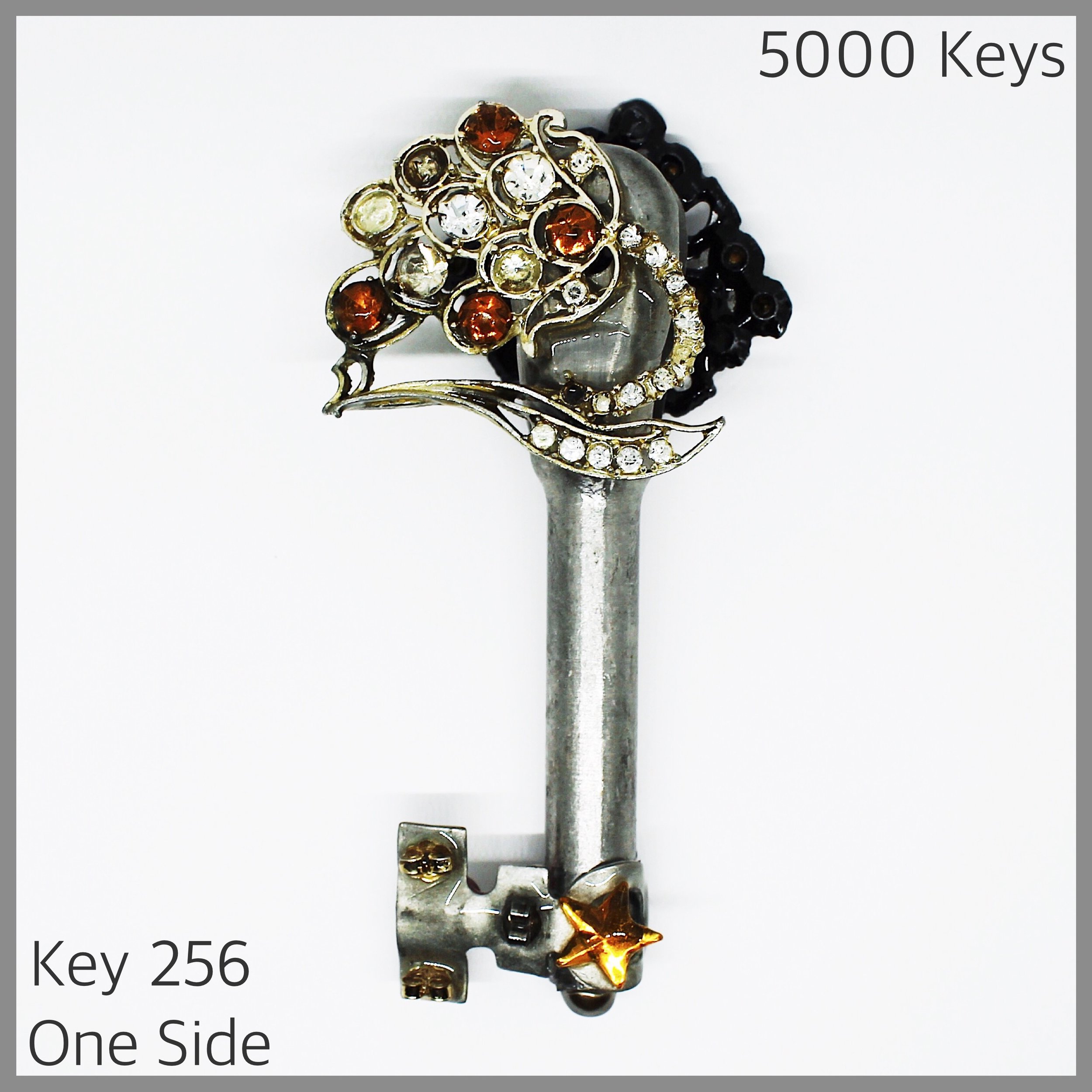 Key 256 one side - 1.JPG