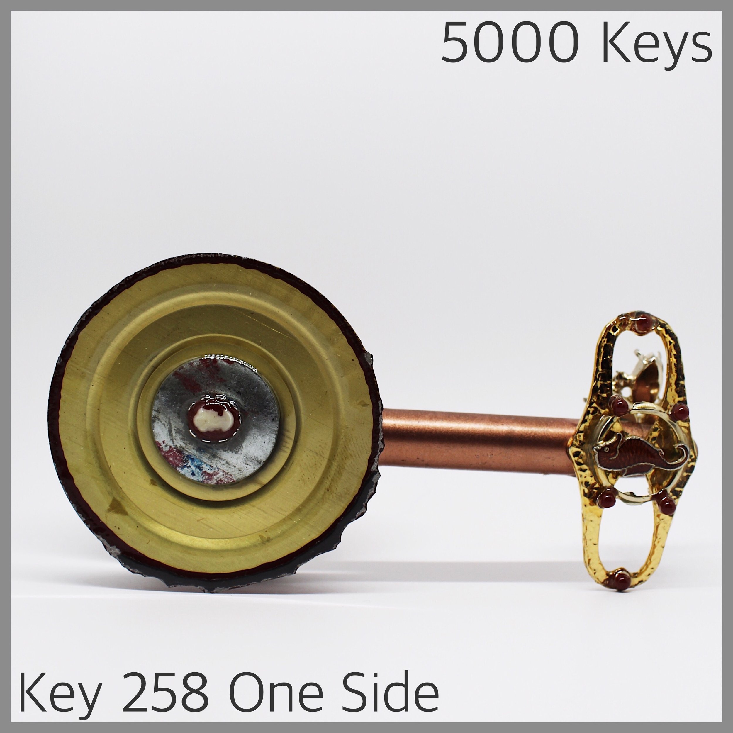 Key 258 one side - 1.JPG