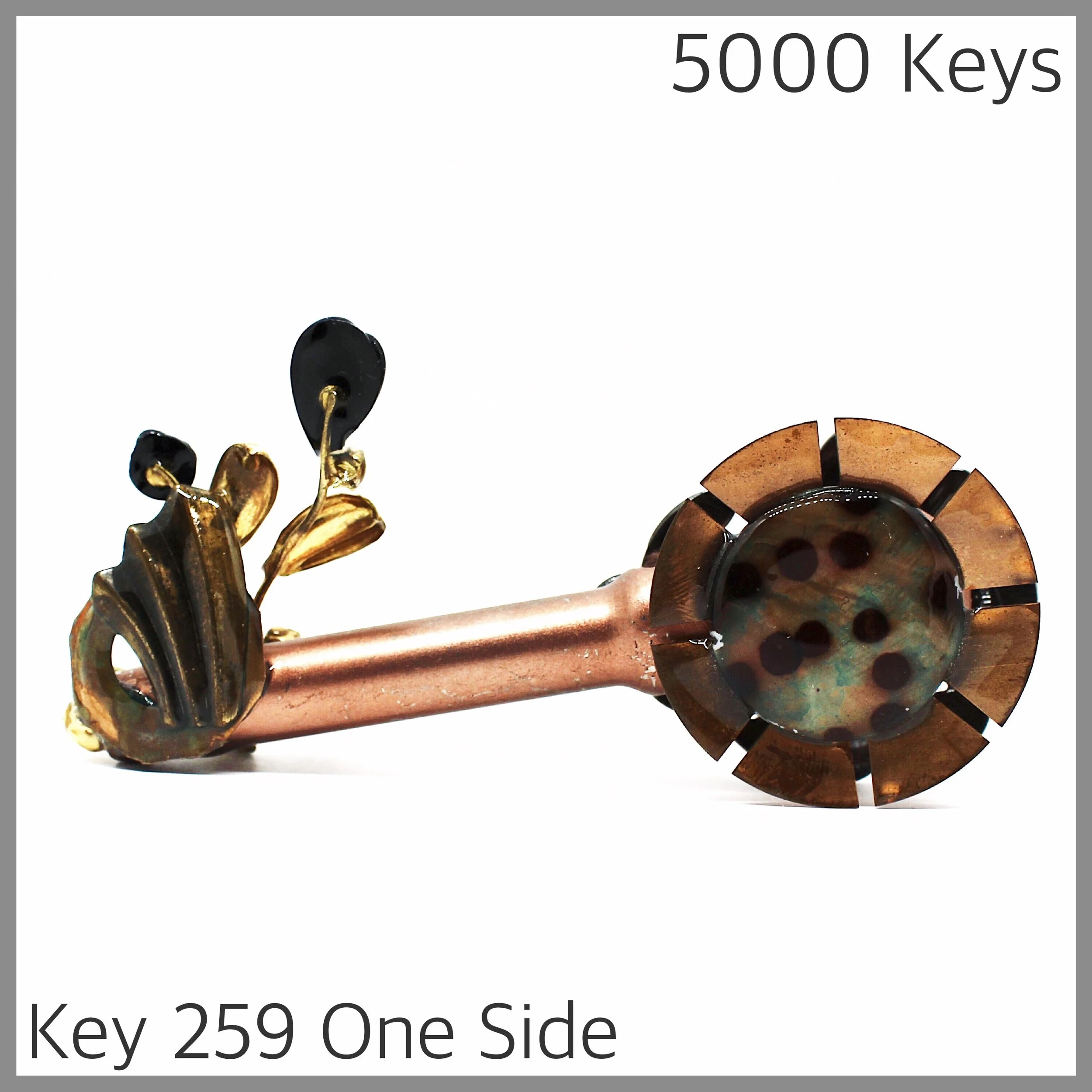 Key 259 one side - 1.JPG