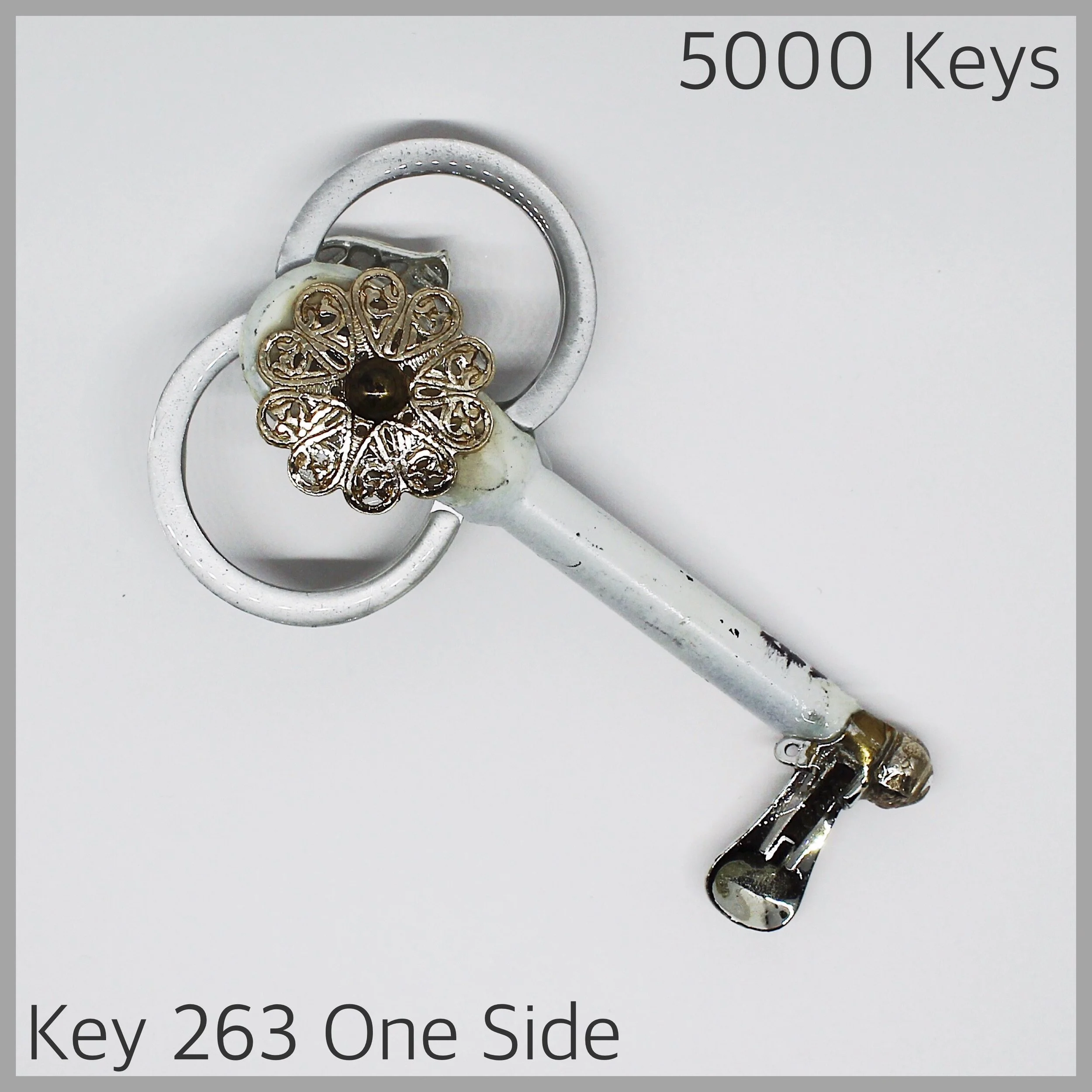 Key 263 one side - 1.JPG